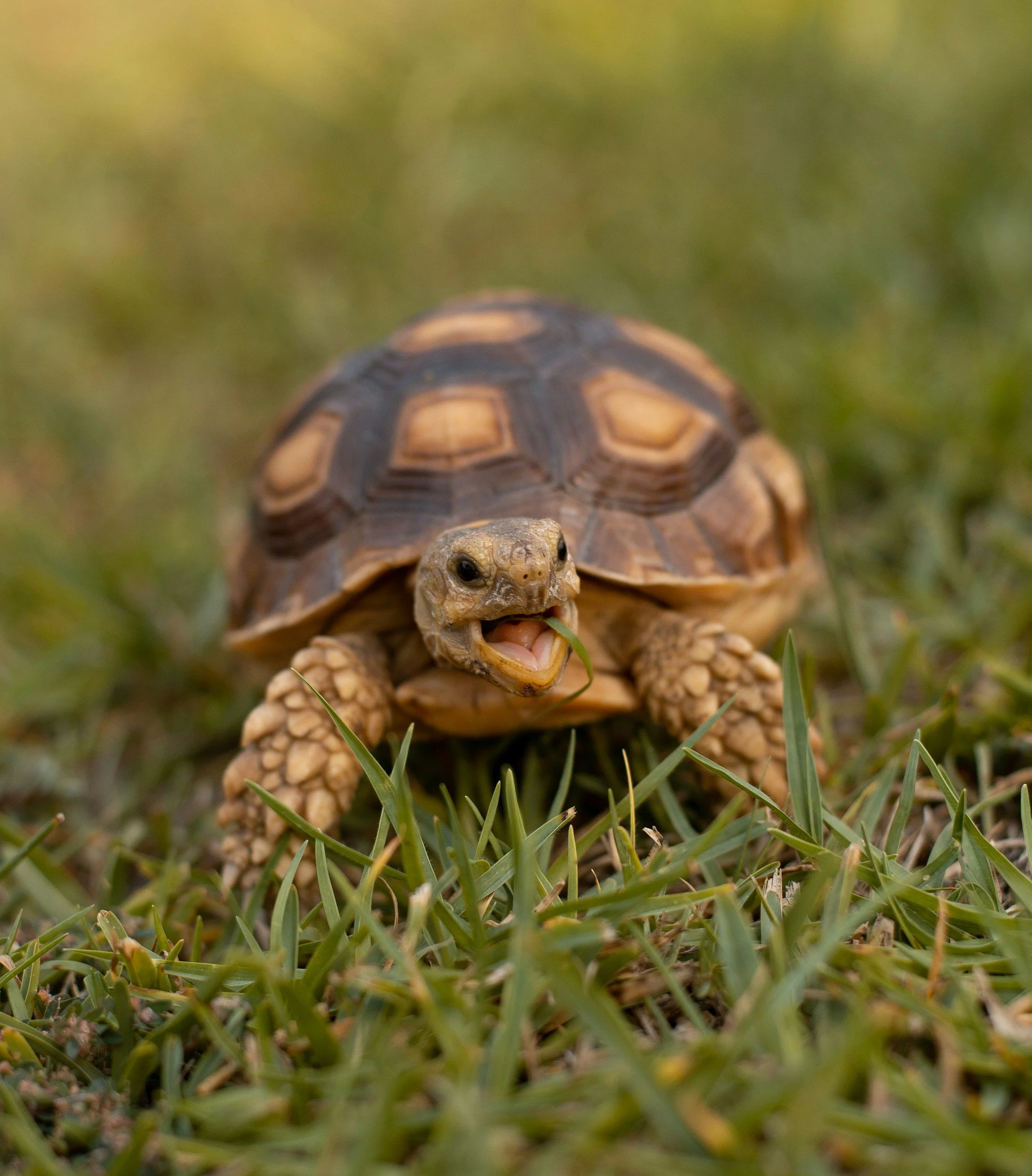 Is the rental market in Monmouth County slow? Why?