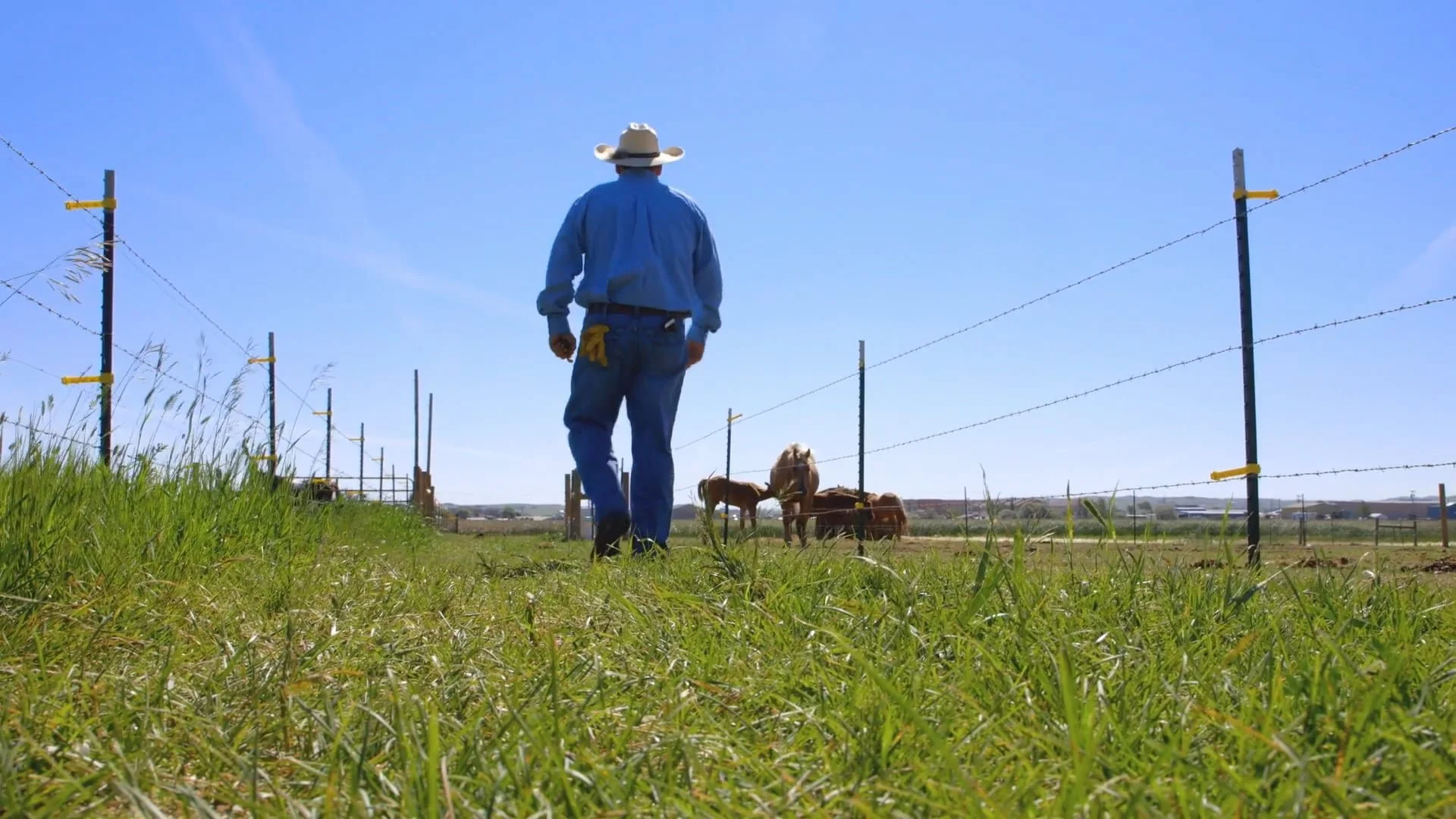Watford | Roughriders Ranch
