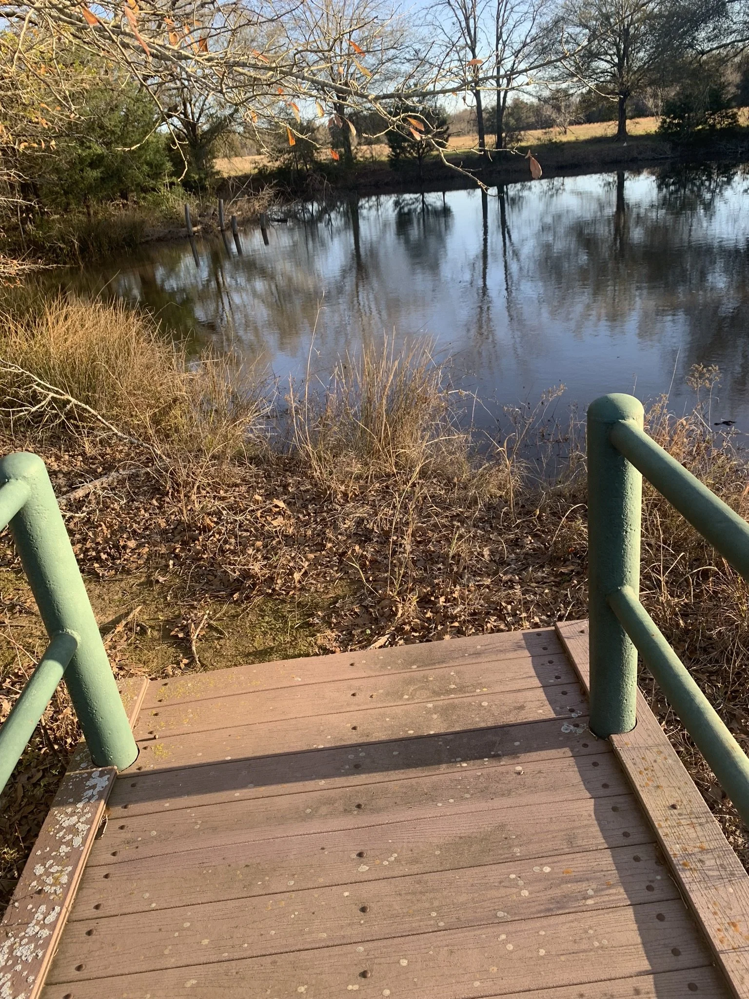 MBH Pond.JPEG