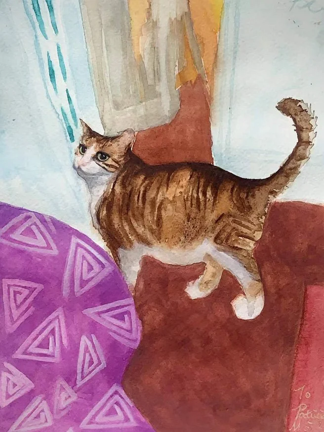 A watercolor painting of an orange and white cat around patterns and textures