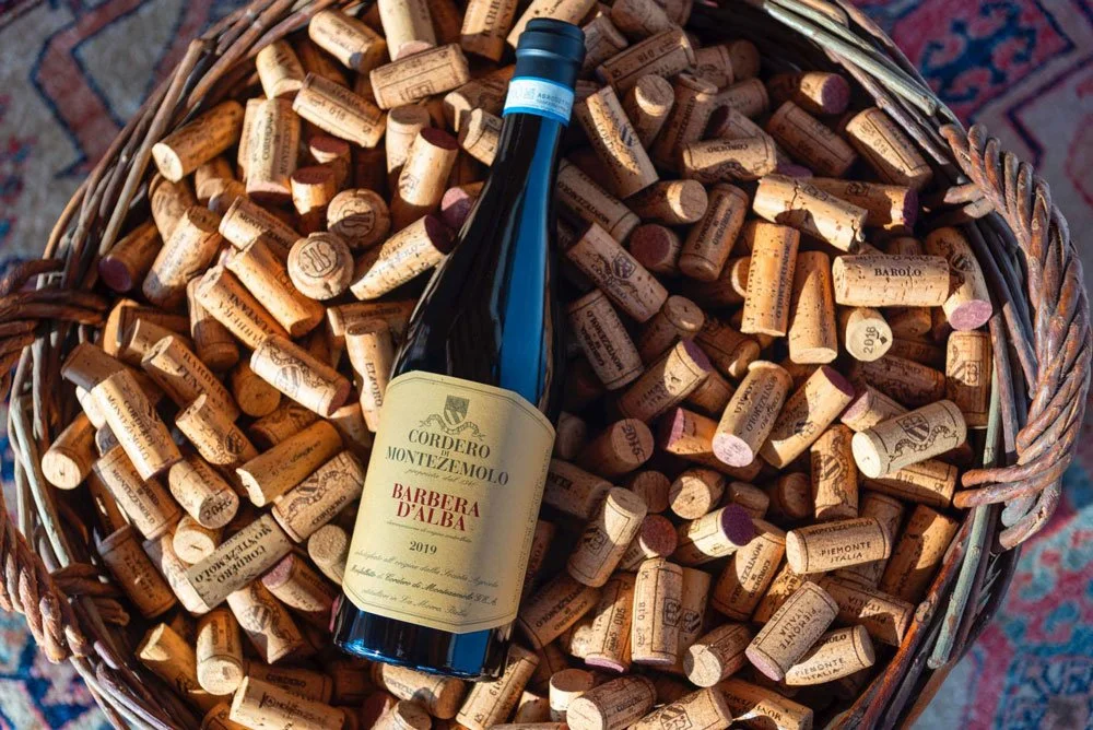 Inside the Vines