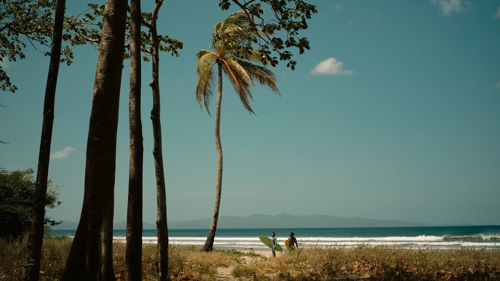 Surf  Media