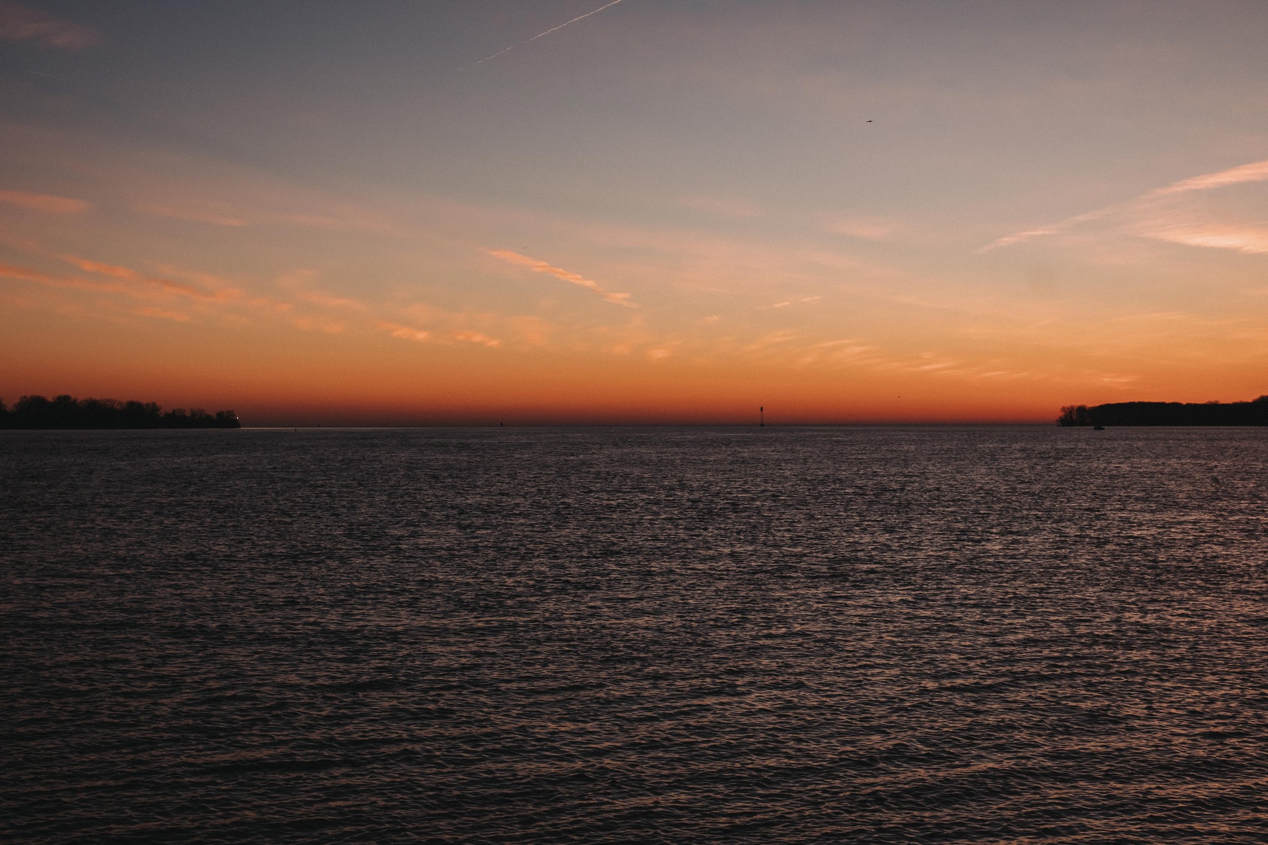 DSCF9803.jpg
