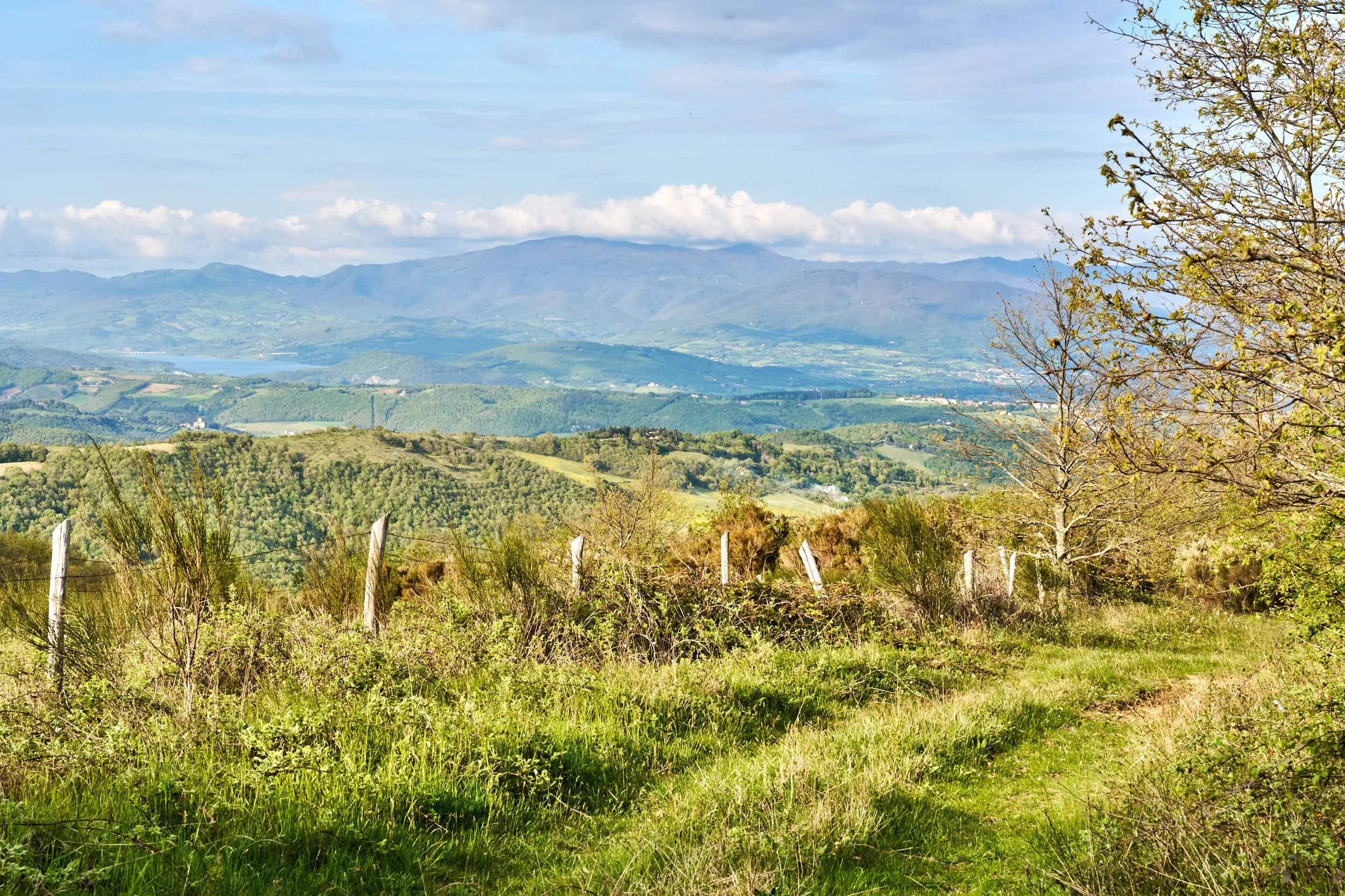 Eine ländliche Landschaft mit grünen Wiesen, Bäumen und einem Zaun, im Hintergrund Berge und ein bewölkter Himmel.