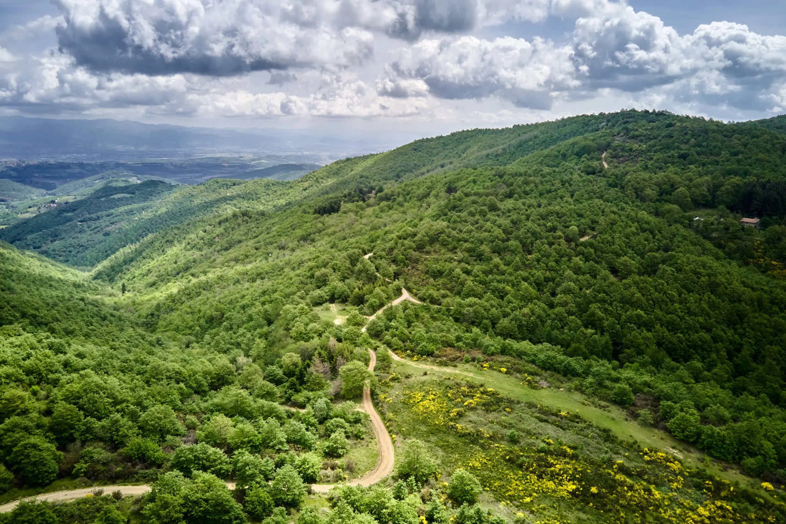 Grüne Hügel mit Wald, Wolken am Himmel, Wanderweg und Wiesen