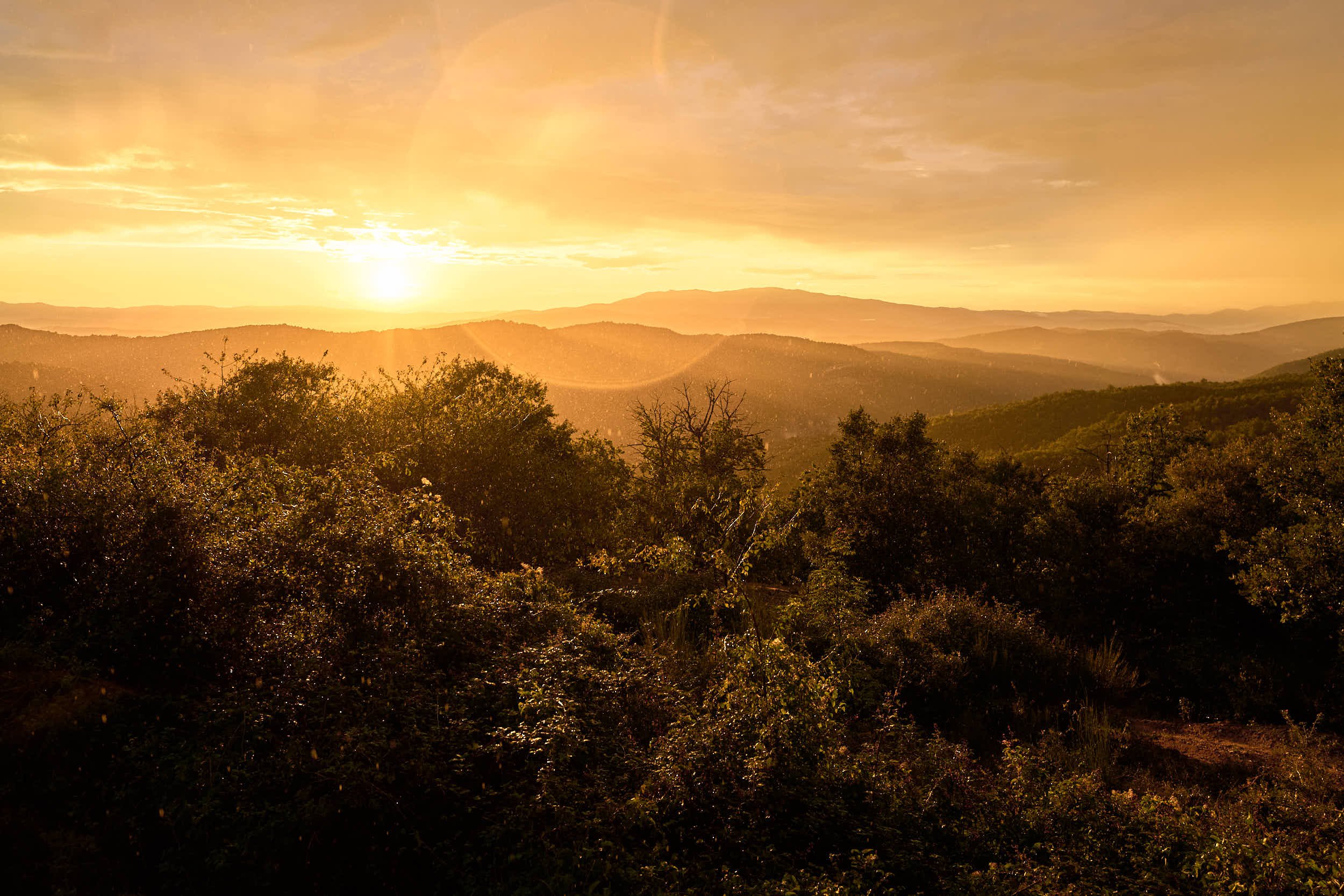 Landschaft bei Sonnenuntergang mit Hügeln und Bäumen im Vordergrund.