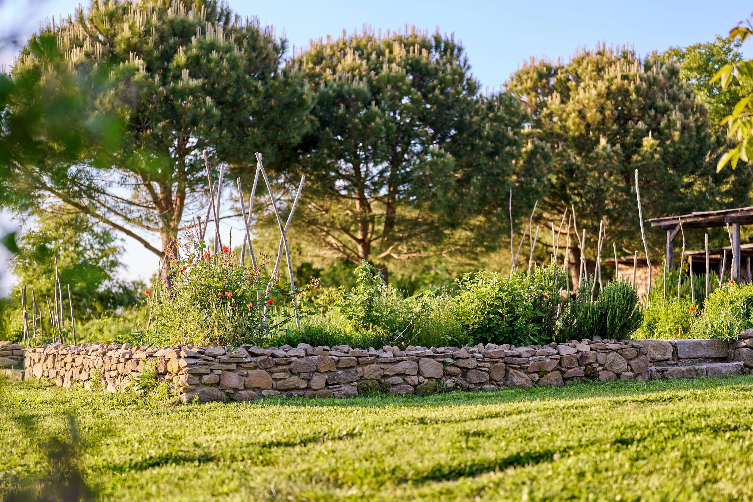 Garten mit Pflanzen, Steinumrandung, Bäume im Hintergrund und sonnigem Himmel.