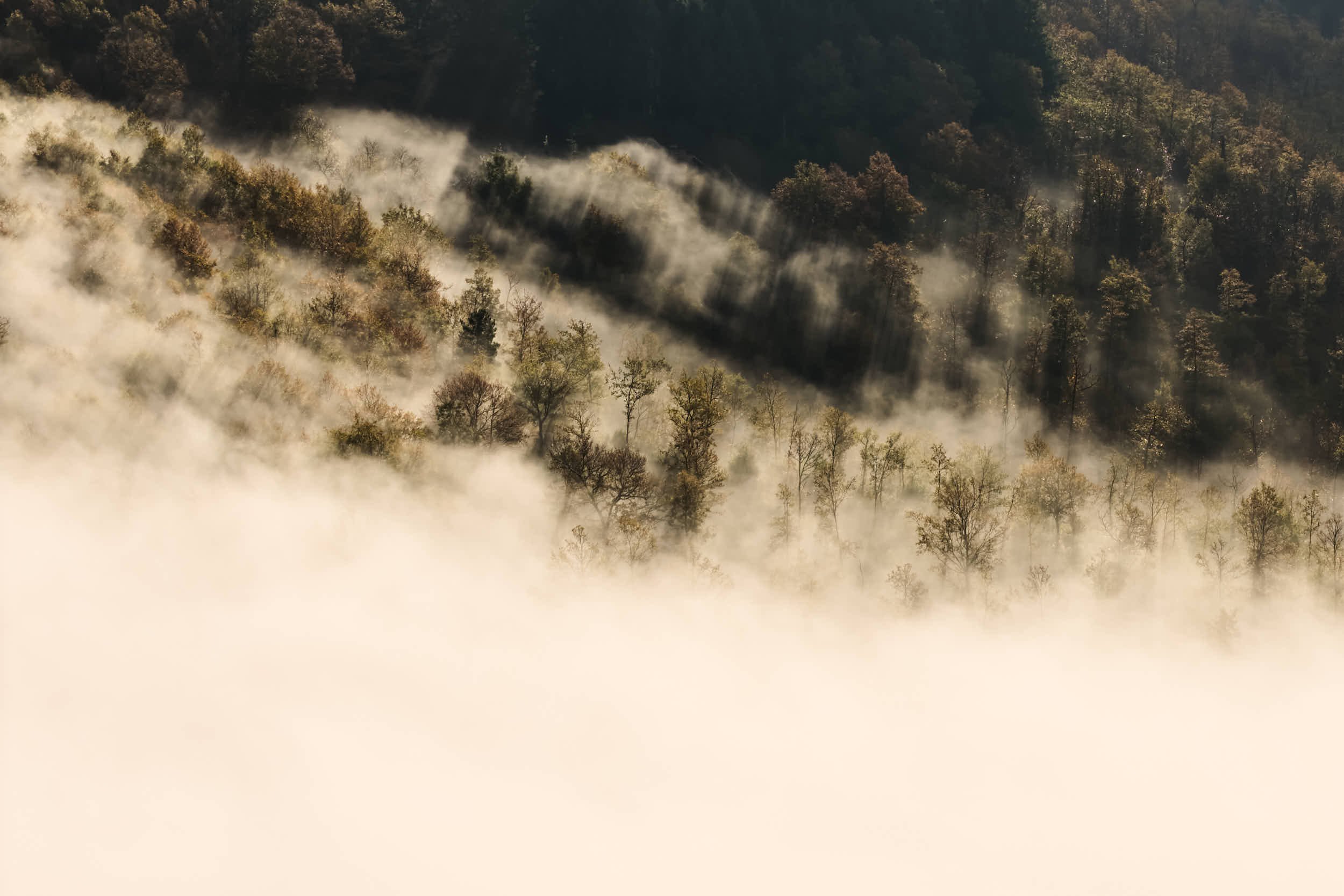 Berge und Bäume in Nebel gehüllt, Sonnenstrahlen durchdringen die Wolken.