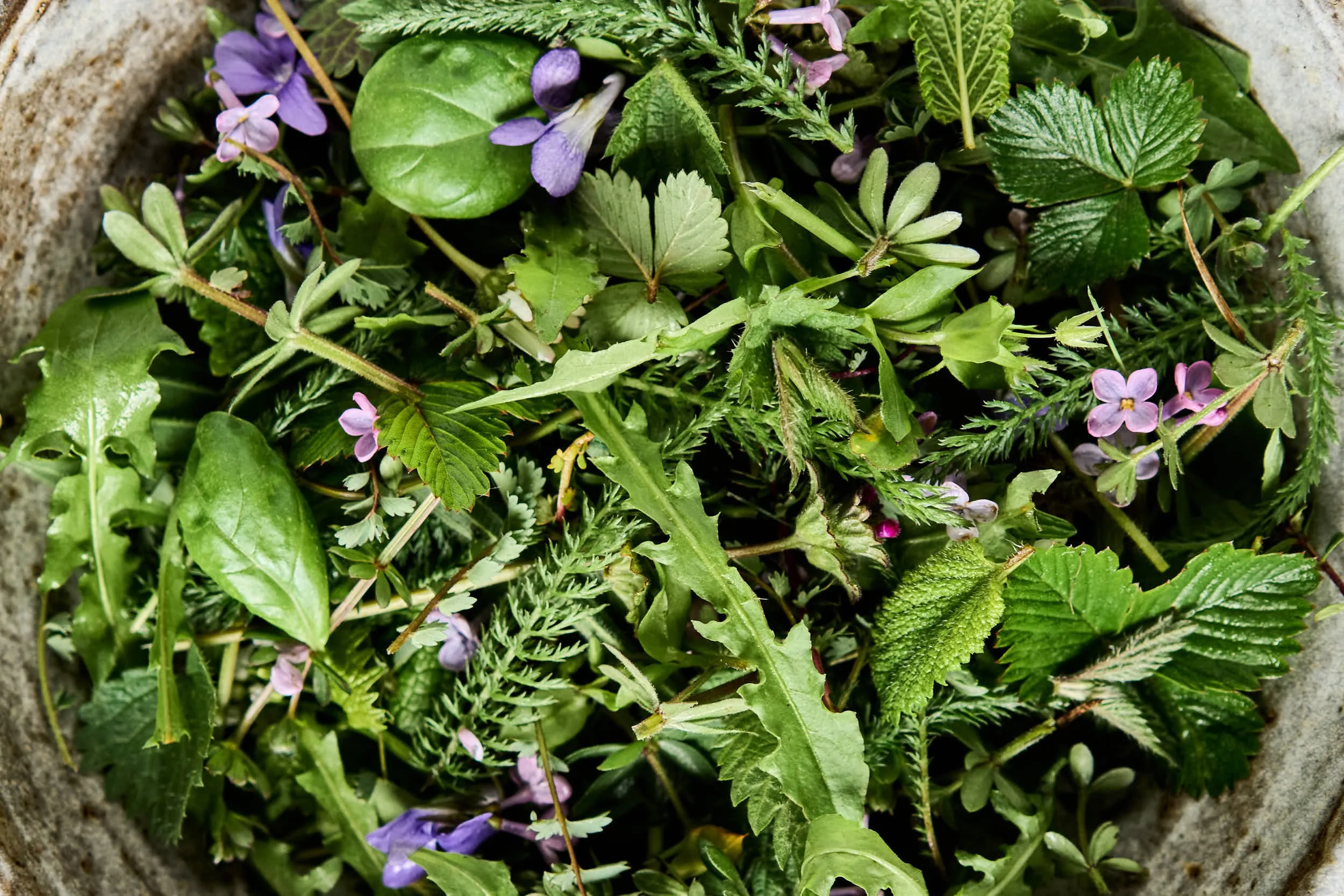 Eine Schale voller verschiedene grüne Blätter und kleine lila Blumen.