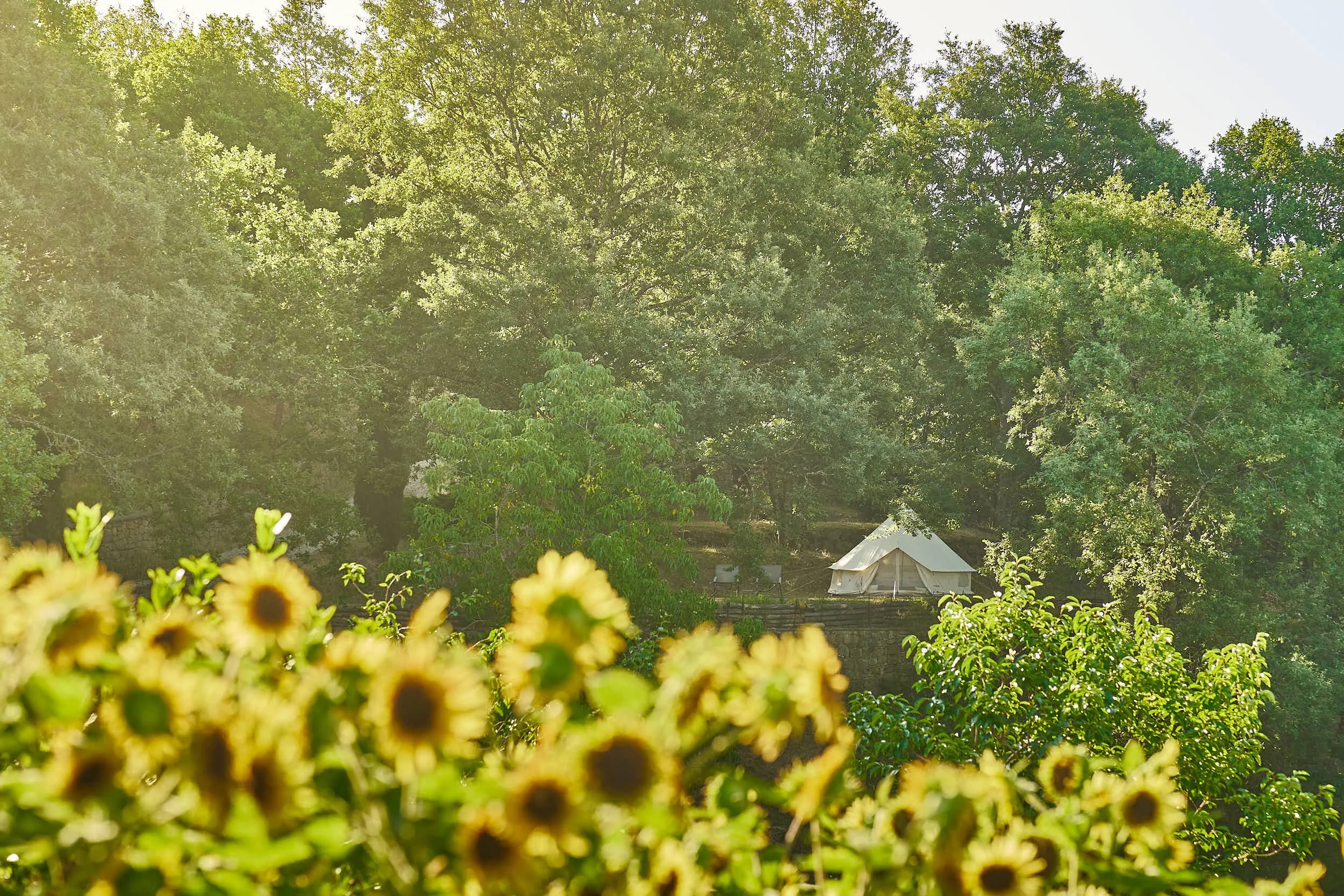 slow-farm-days-pomodoro-glamping-sonne.jpg