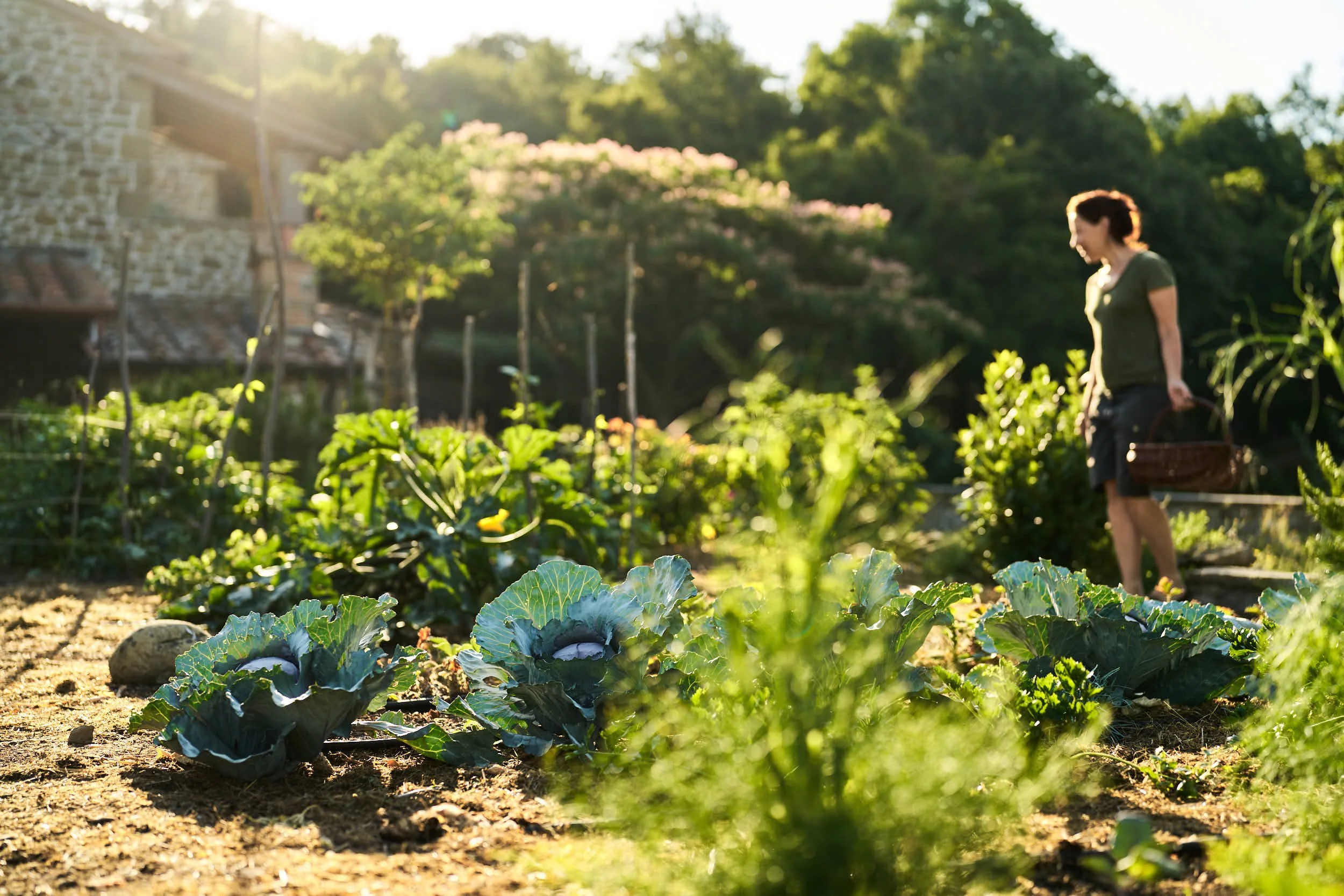 Garten mit Gemüsepflanzen und einer Frau im Hintergrund, die einen Korb trägt, bei Sonnenlicht