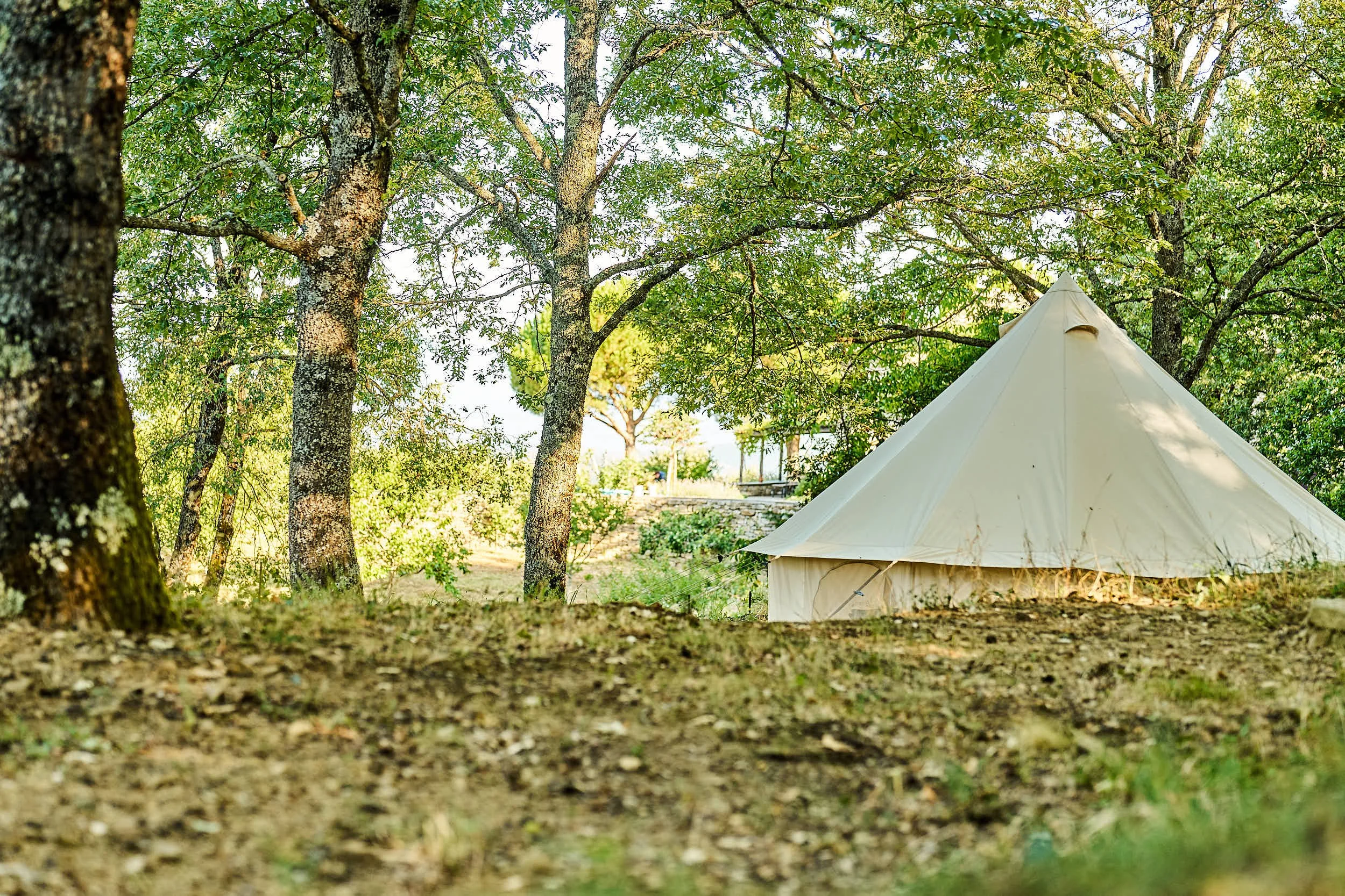 slow-farm-days-pomodoro-glamping-wald.jpg