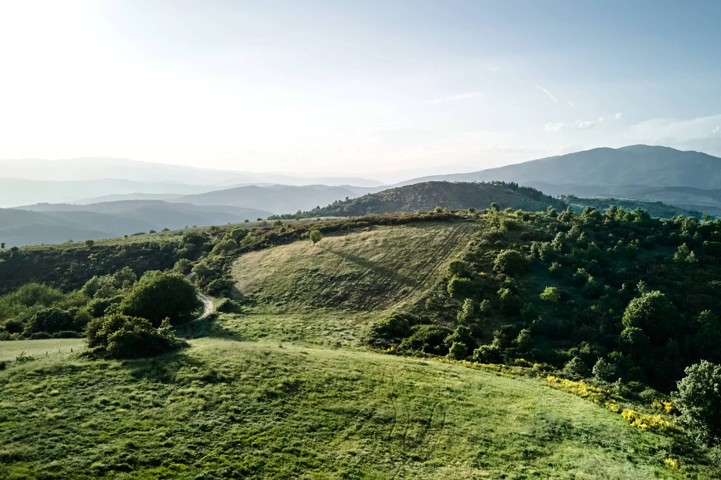 Grüne Hügel mit Bäumen und Wiesen, Berge im Hintergrund, sonniger Himmel.