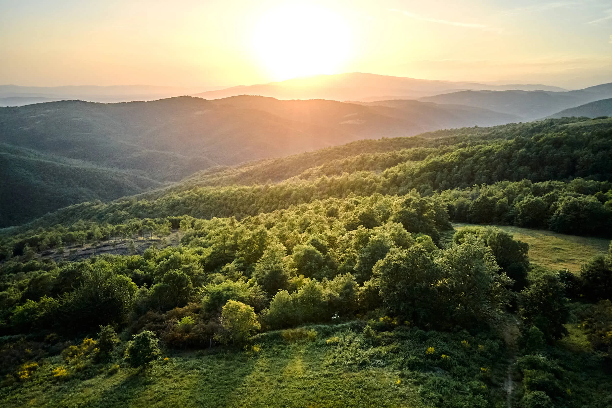 Landschaft mit grünen Hügeln und Bäumen bei Sonnenuntergang, hintere Berge, blauer Himmel.