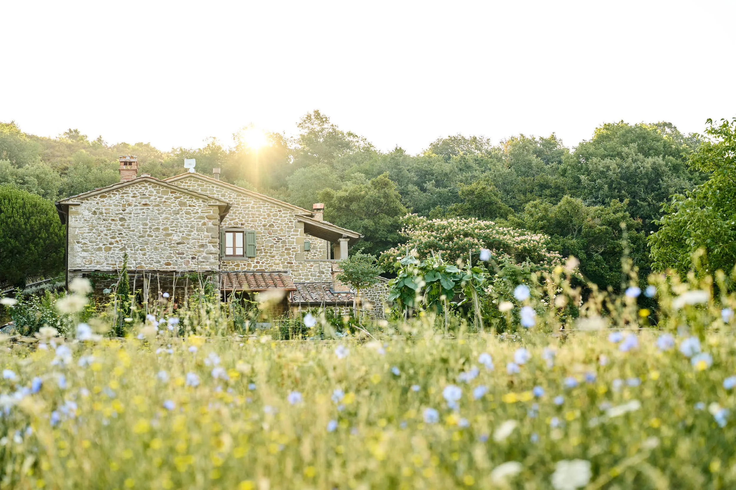 Ein landhausähnliches Gebäude aus Stein, umgeben von einem Garten mit Blumen und Obstbäumen, bei Sonnenaufgang oder Sonnenuntergang, mit dichter Baumkulisse im Hintergrund.
