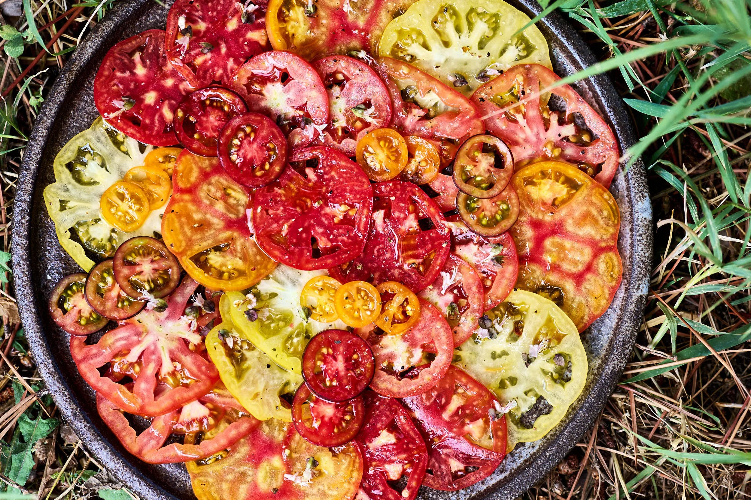 Verschiedene bunte Tomatenscheiben in einer schwarzen Pfanne auf Gras