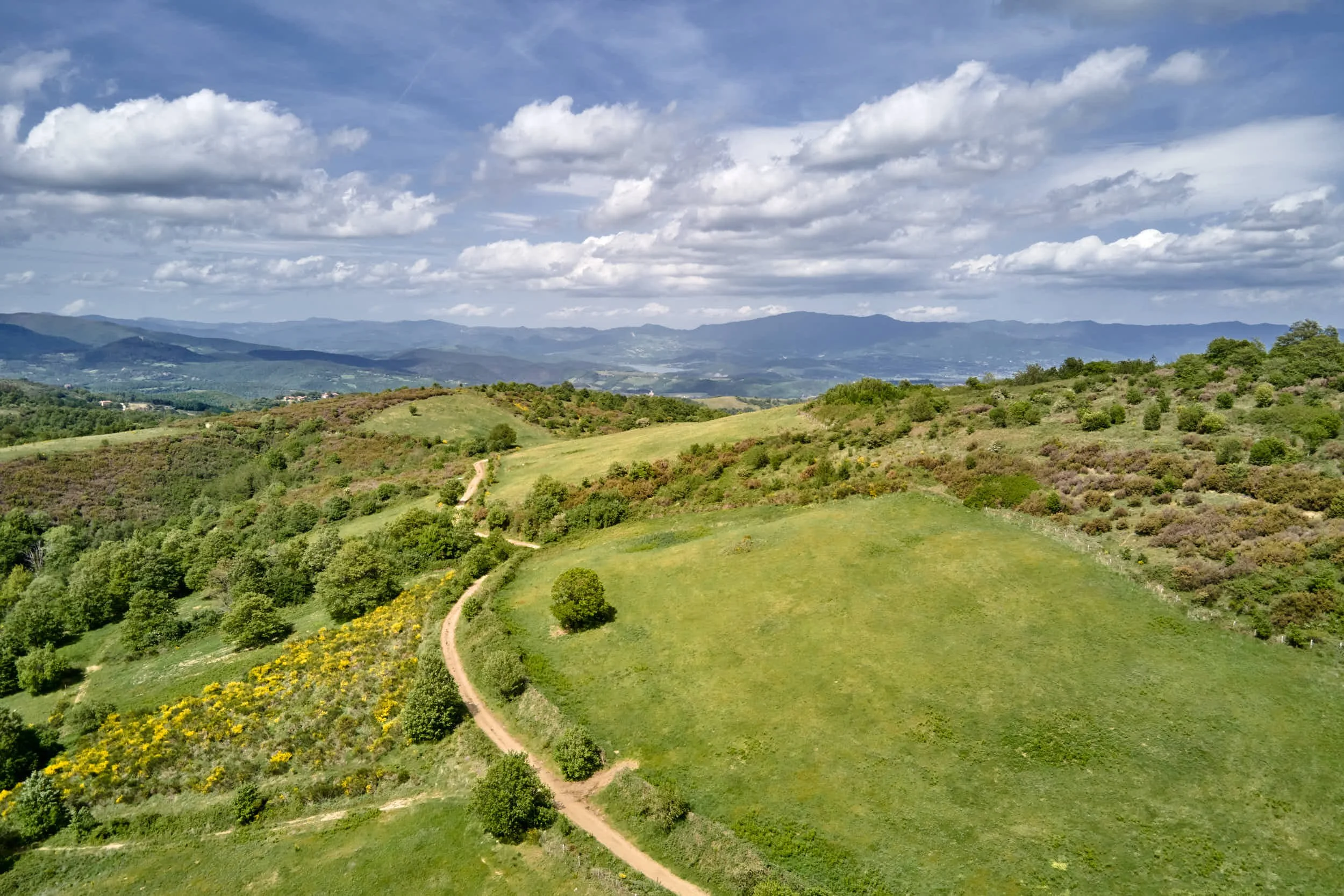 Landschaft mit grünen Hügeln, Bäumen, Wanderweg und bewölktem Himmel im Hintergrund.