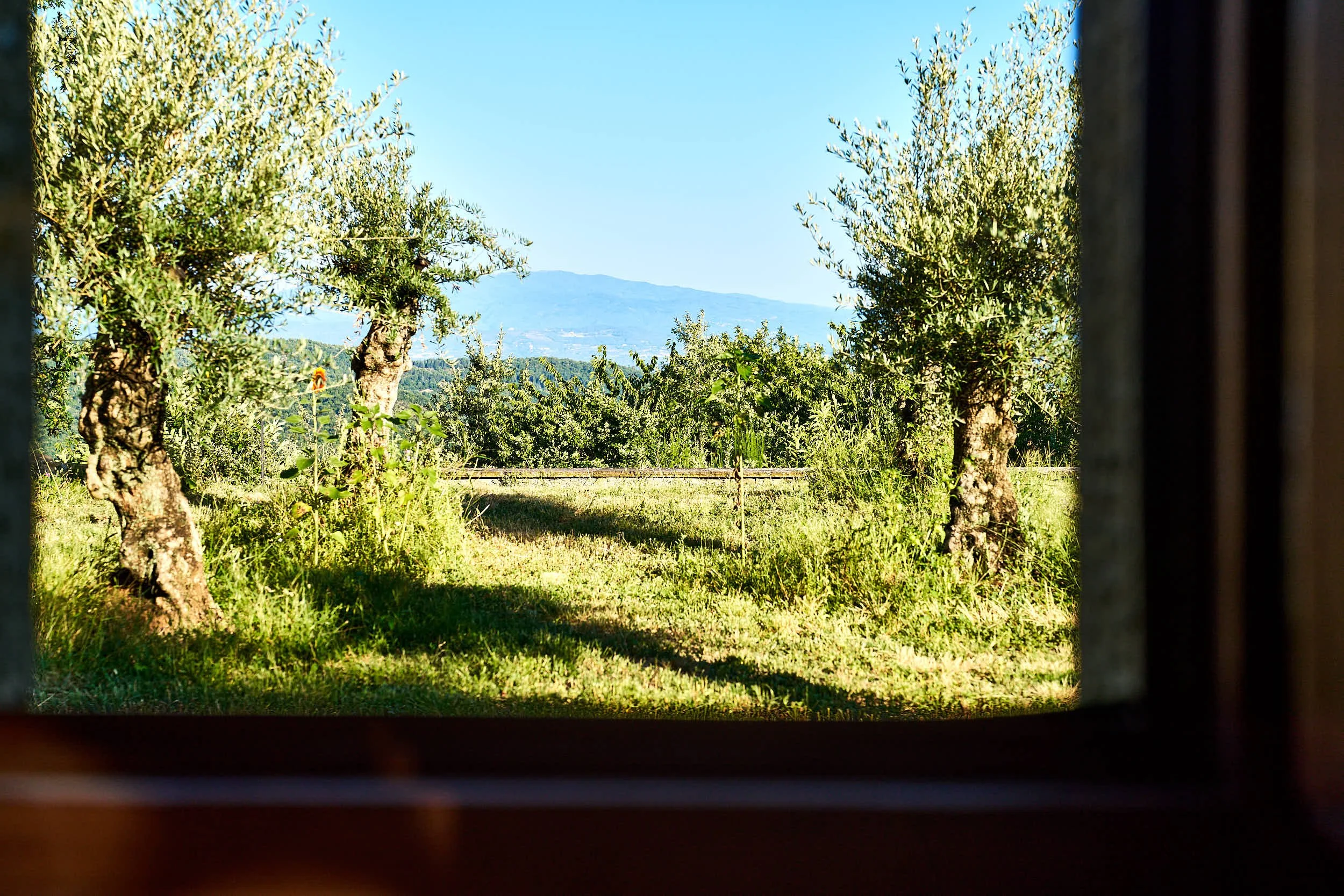 slow-farm-days-oliva-garten.jpg