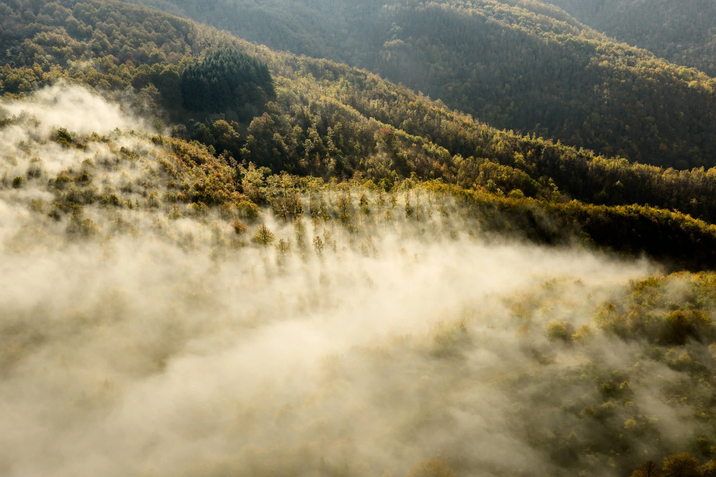 Blick auf neblige, bewaldete Berge bei Sonnenaufgang mit leichter Wolkendecke