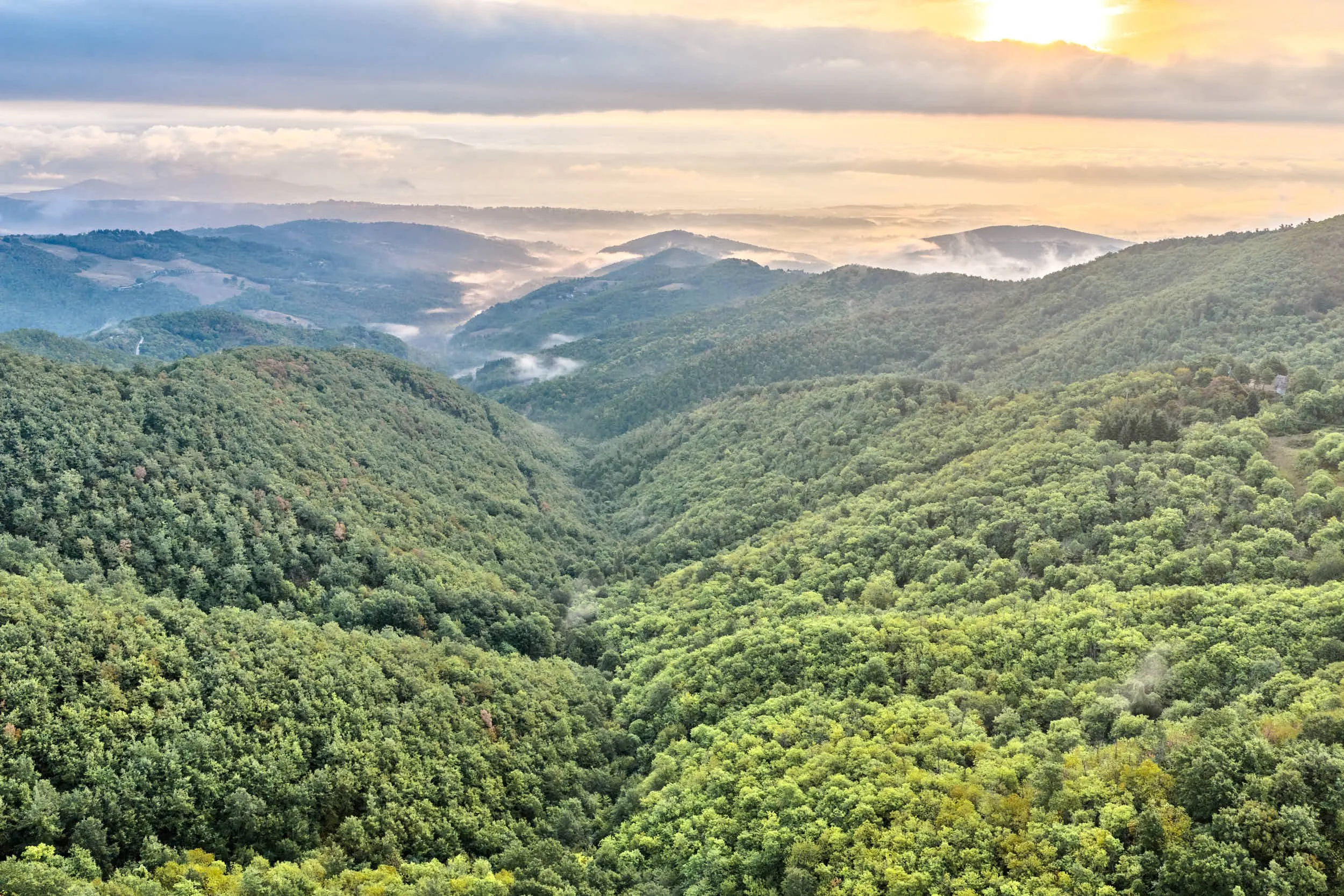 Berglandschaft mit grün bewachsenen Hügeln und Wolken im Tal, Sonnenuntergang am Himmel