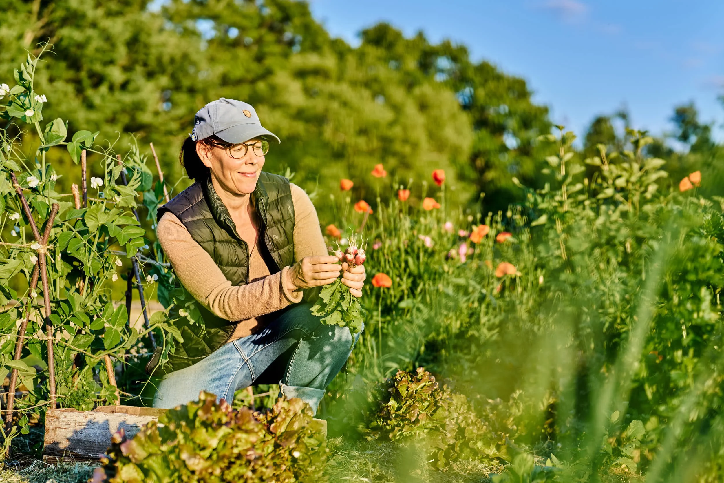 Eine Frau pflückt Radieschen in einem Garten mit vielen bunten Blumen, bei sonnigem Wetter.