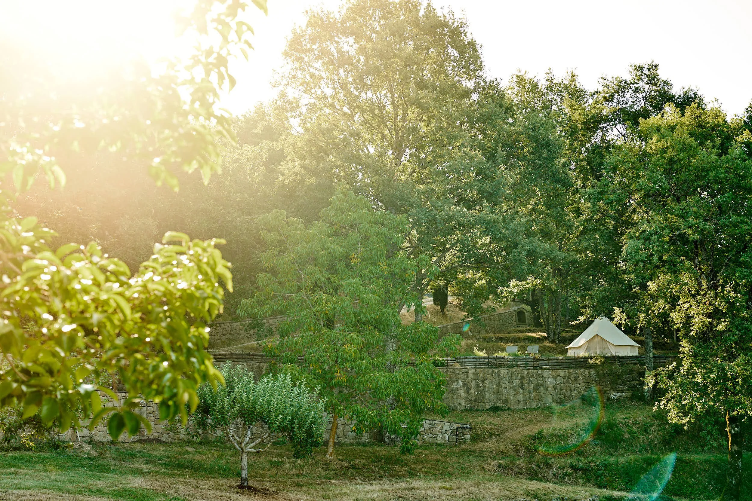 slow-farm-days-pomodoro-glamping-toskana.jpg