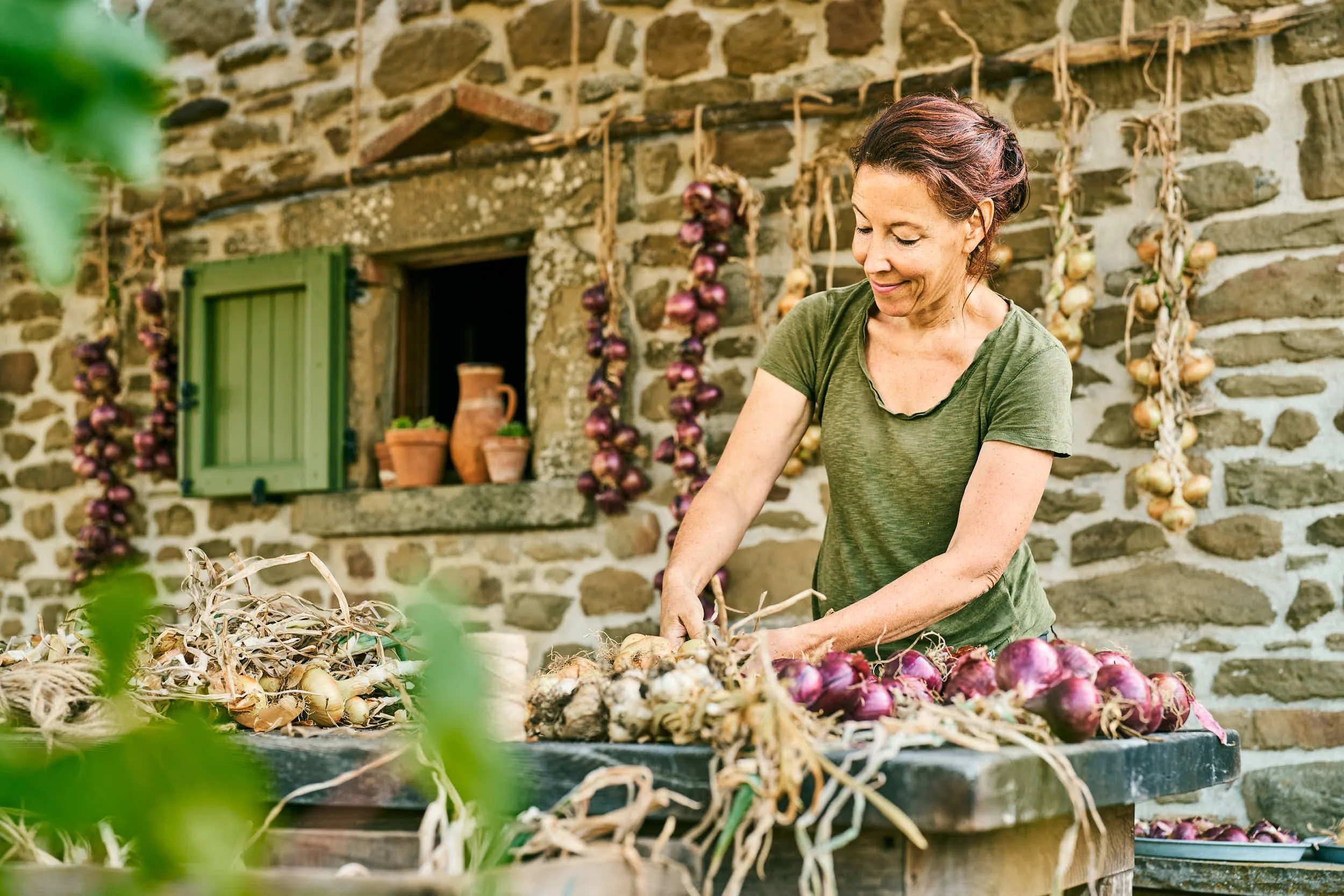 Frau beim Ernten von roten Zwiebeln auf einem Bauernhof. Hintergrund mit Steingemäuer, grüner Fensterladen und hängen Zwiebeln.