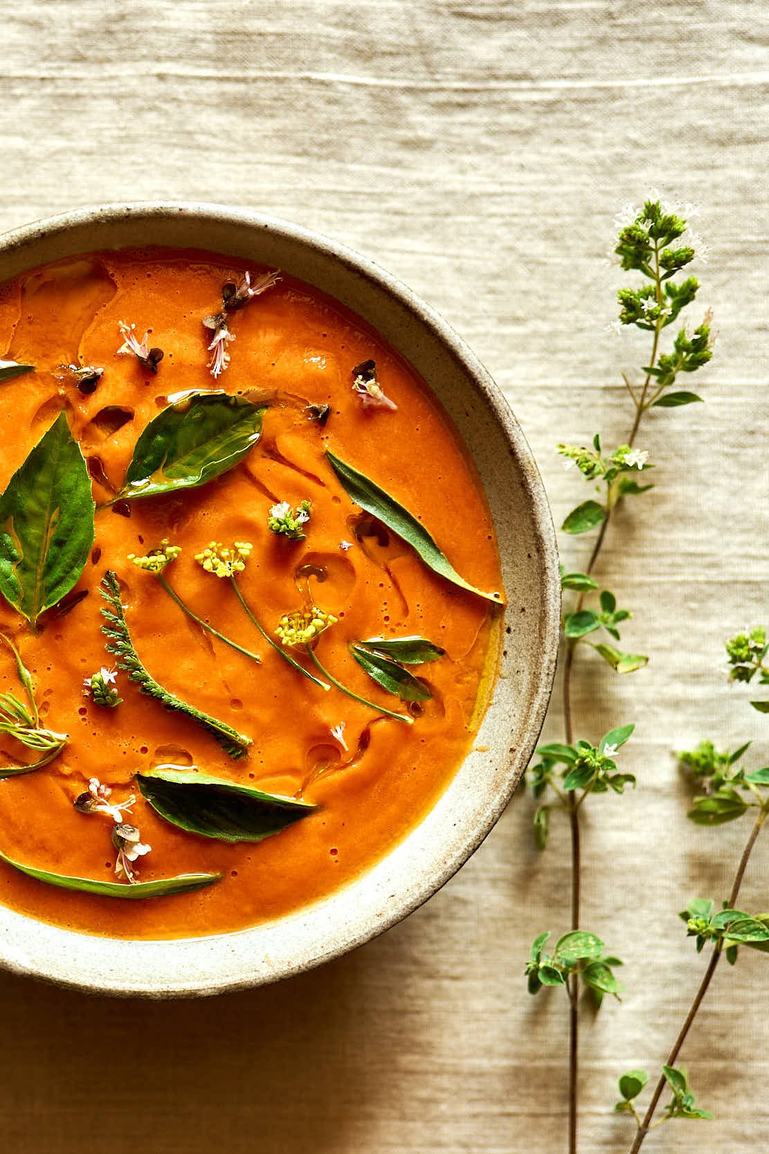 Ein Teller mit Tomatensuppe, garniert mit frischen Kräutern und Blüten, auf einem hellen Holztisch.