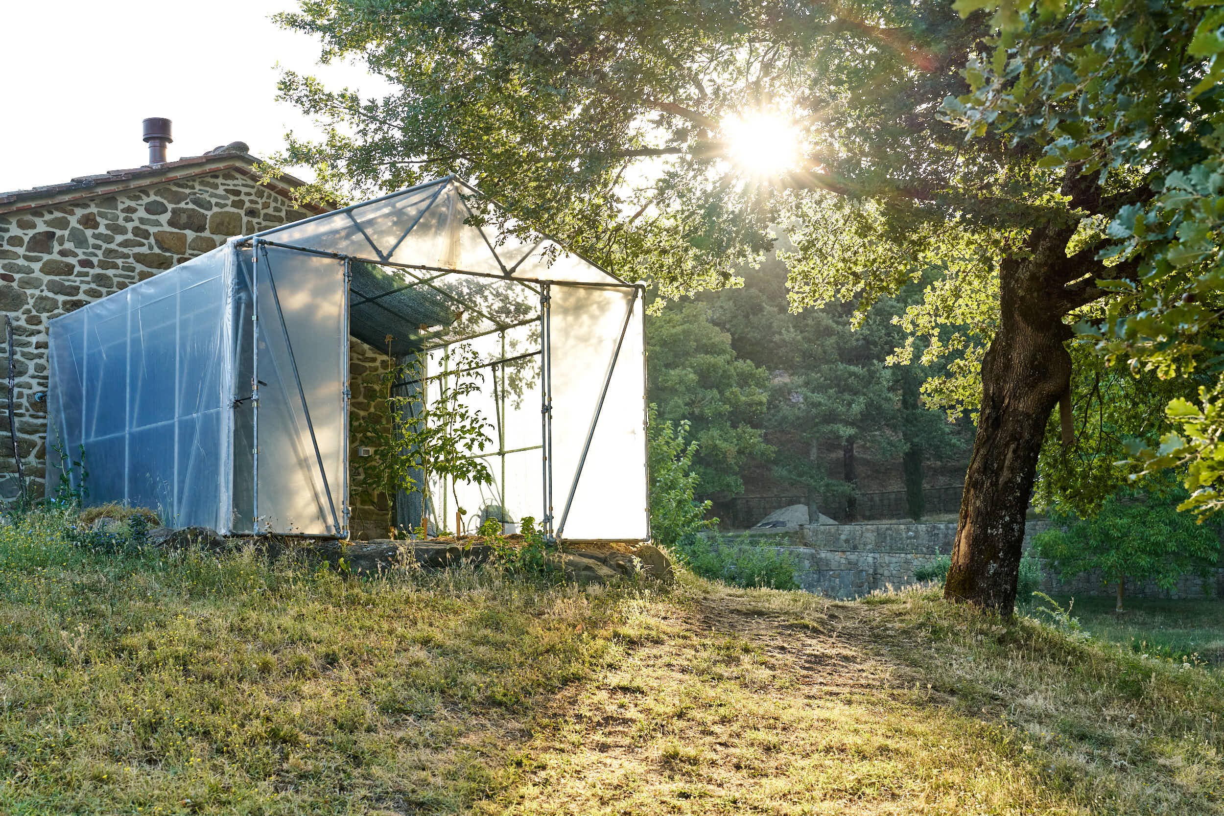 casa-al-vento-toskana-gewaechshaus-morgens.jpg