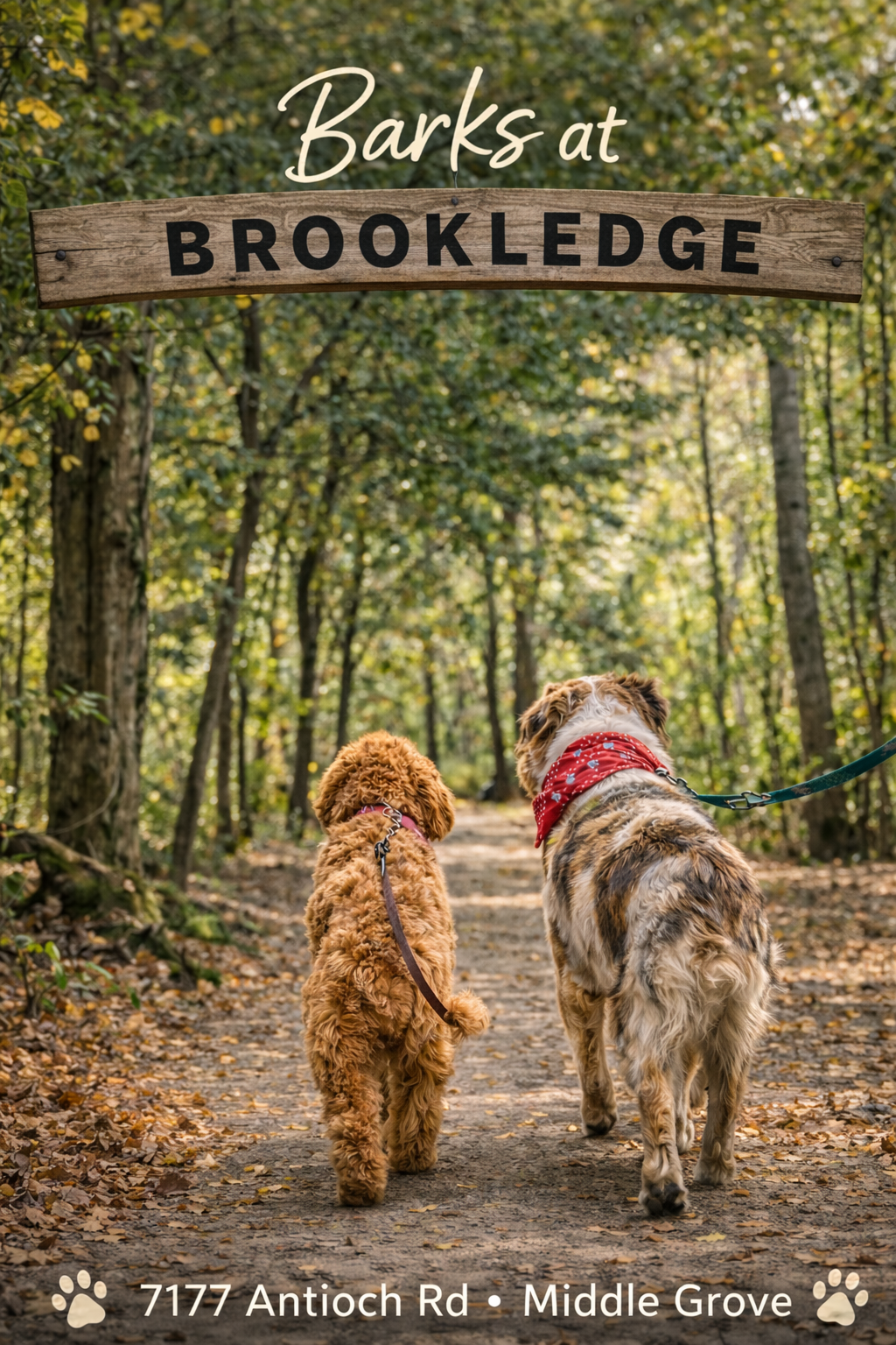 Barks At Brookledge