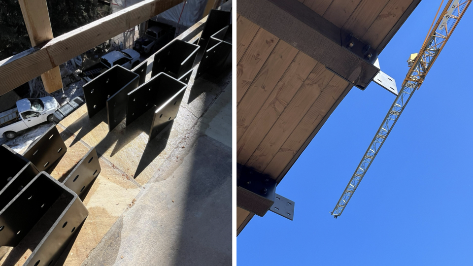 46 Red Spruce 26.04.03 Meeting.080.png