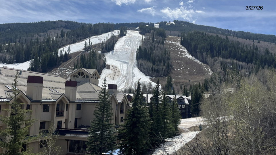 46 Red Spruce 26.04.03 Meeting.005.png