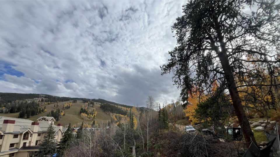 46 Red Spruce 25.11.07 Meeting.068.png