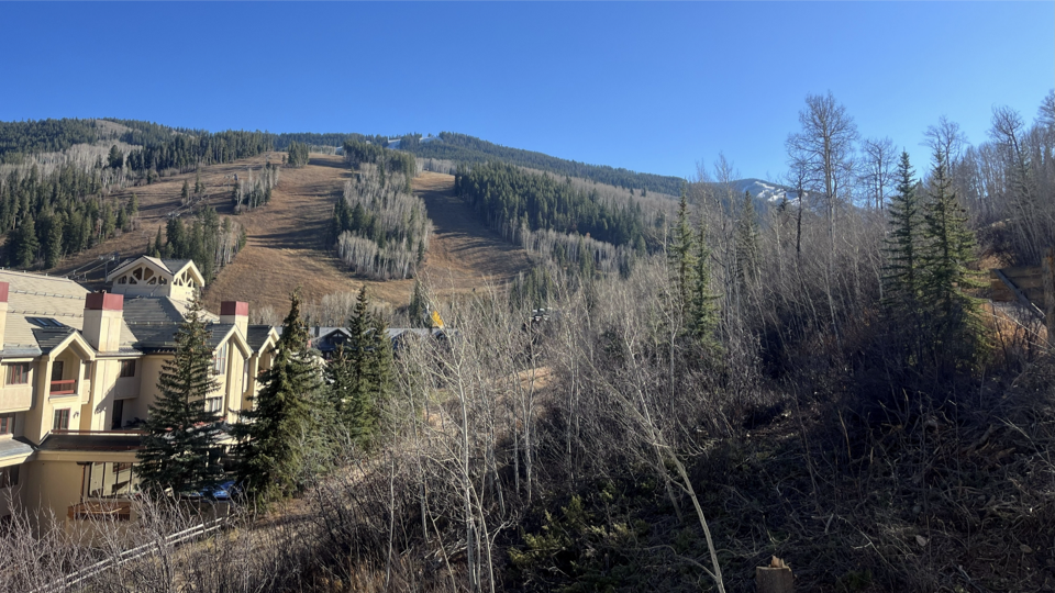 46 Red Spruce 25.11.07 Meeting.003.png