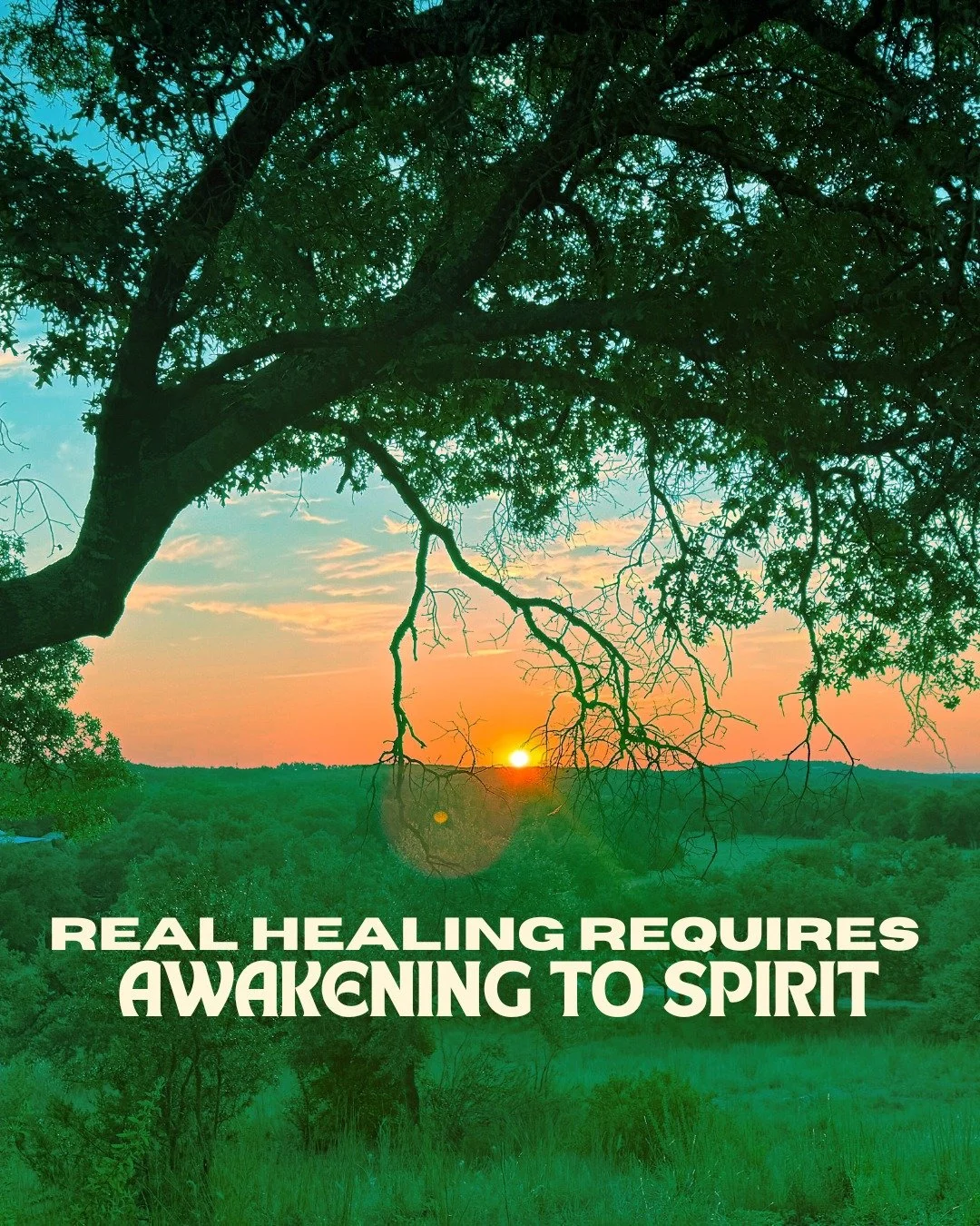 Read my latest post on why our Mission at Nova Vida is so personal to me. I hope you are moved by my message to share with someone in your life who could benefit from a healing space like Nova Vida. 🧡Drew @vidanova_555 

https://www.casadanovavida.c