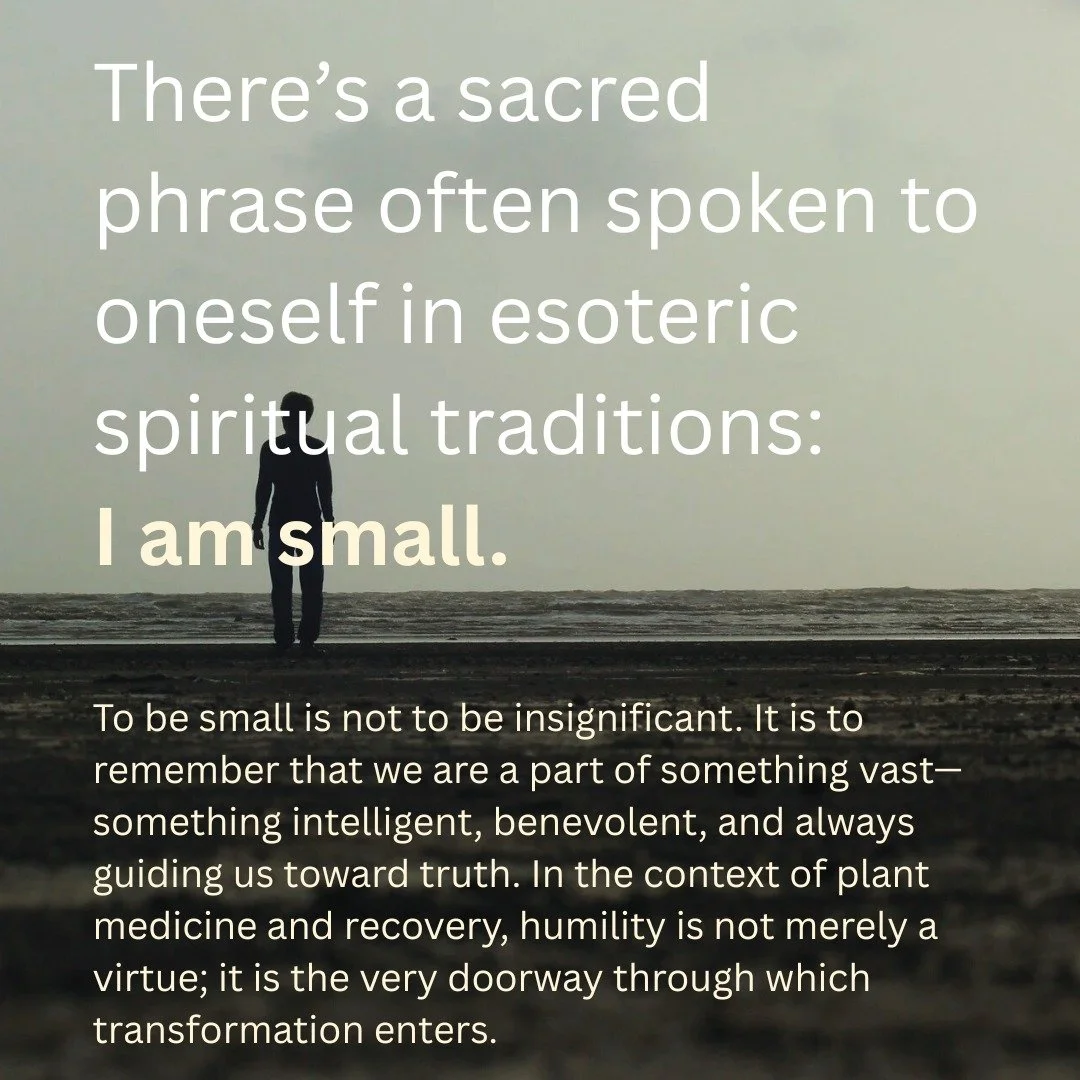 &quot;When we approach the medicine, it&rsquo;s not as masters but as students. The plants carry a wisdom older than any human philosophy. They teach in silence, through intuition, and through the language of the heart. The medicine acts as a vehicle