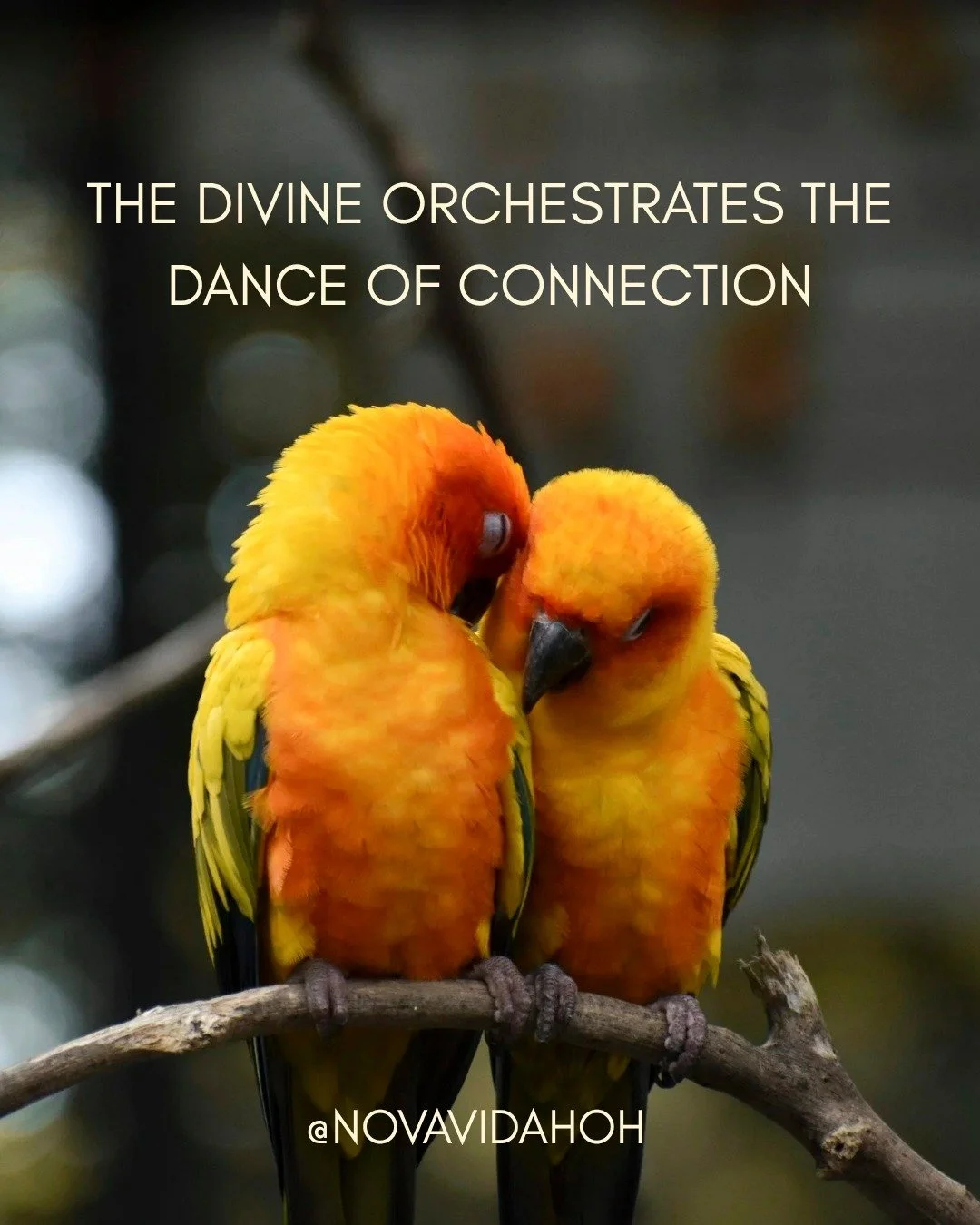 There are moments in life when it feels as though others simply don&rsquo;t understand us &mdash; our feelings, our intentions, our needs. It can be easy to fall into frustration or disappointment when we sense that gap. But if we look deeper, we see