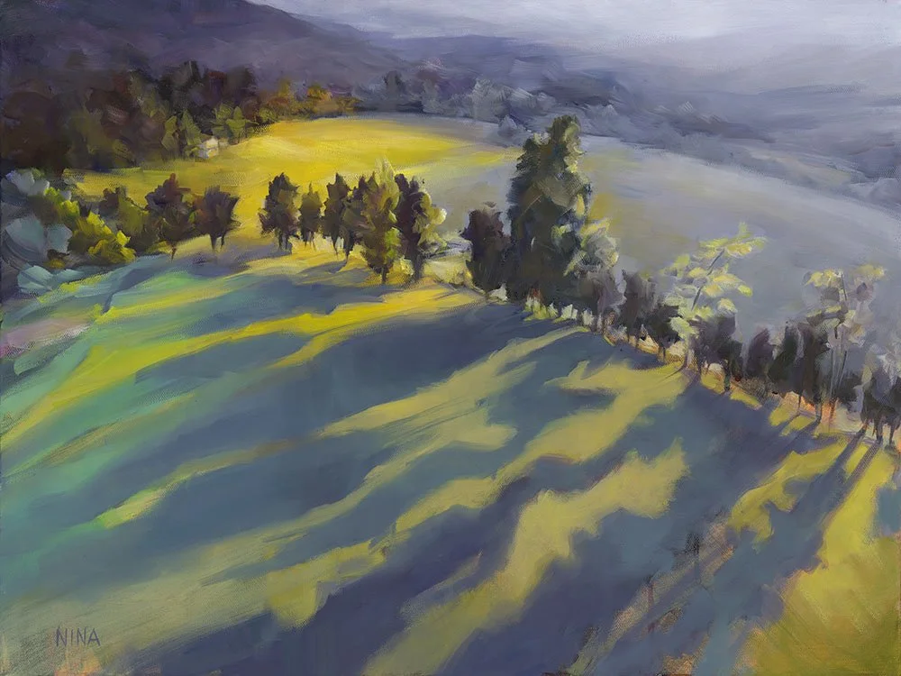 Image of Shadow Lands