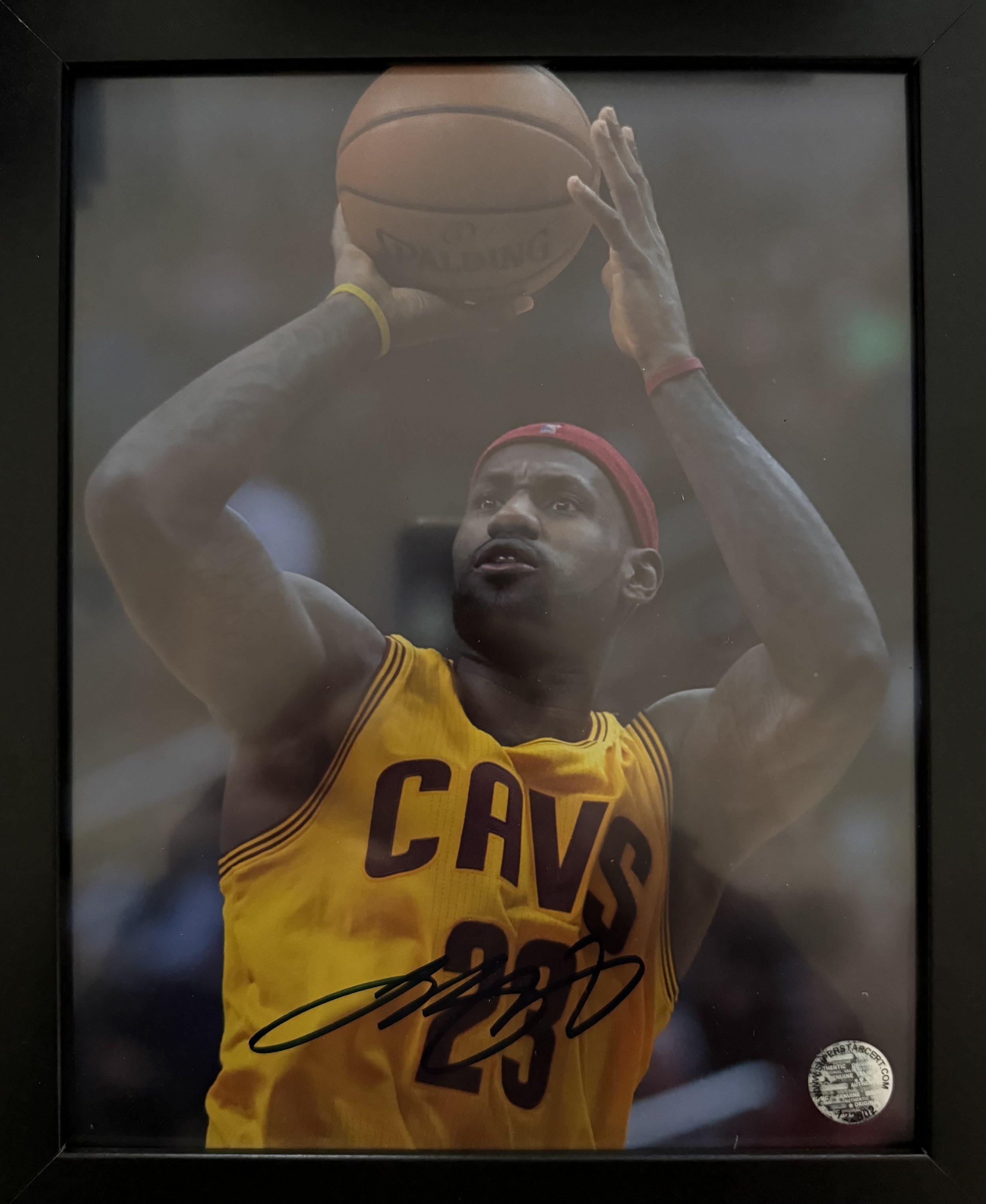 LEBRON JAMES PICTURE AUTO