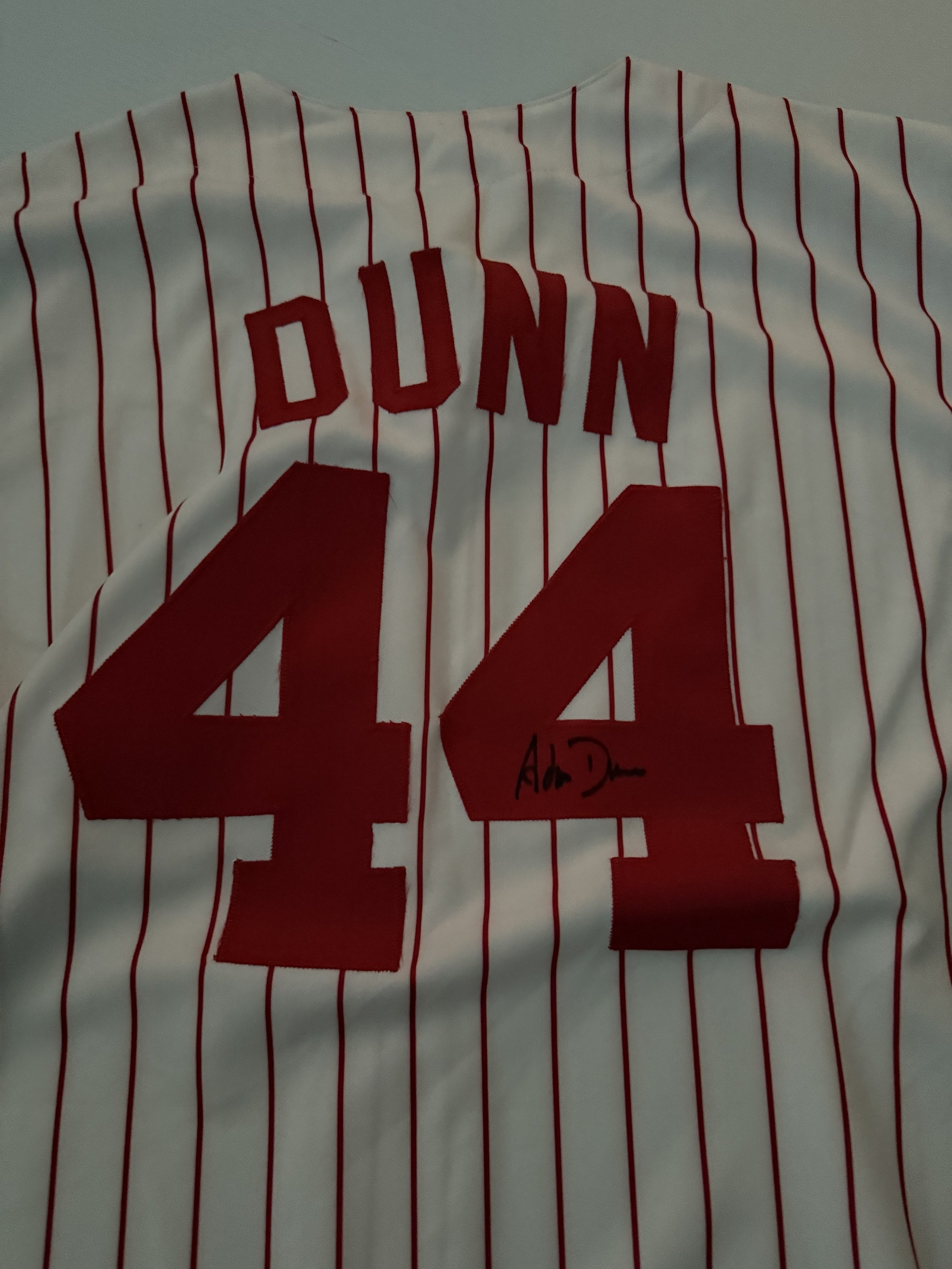 ADAM DUNN JERSEY AUTO
