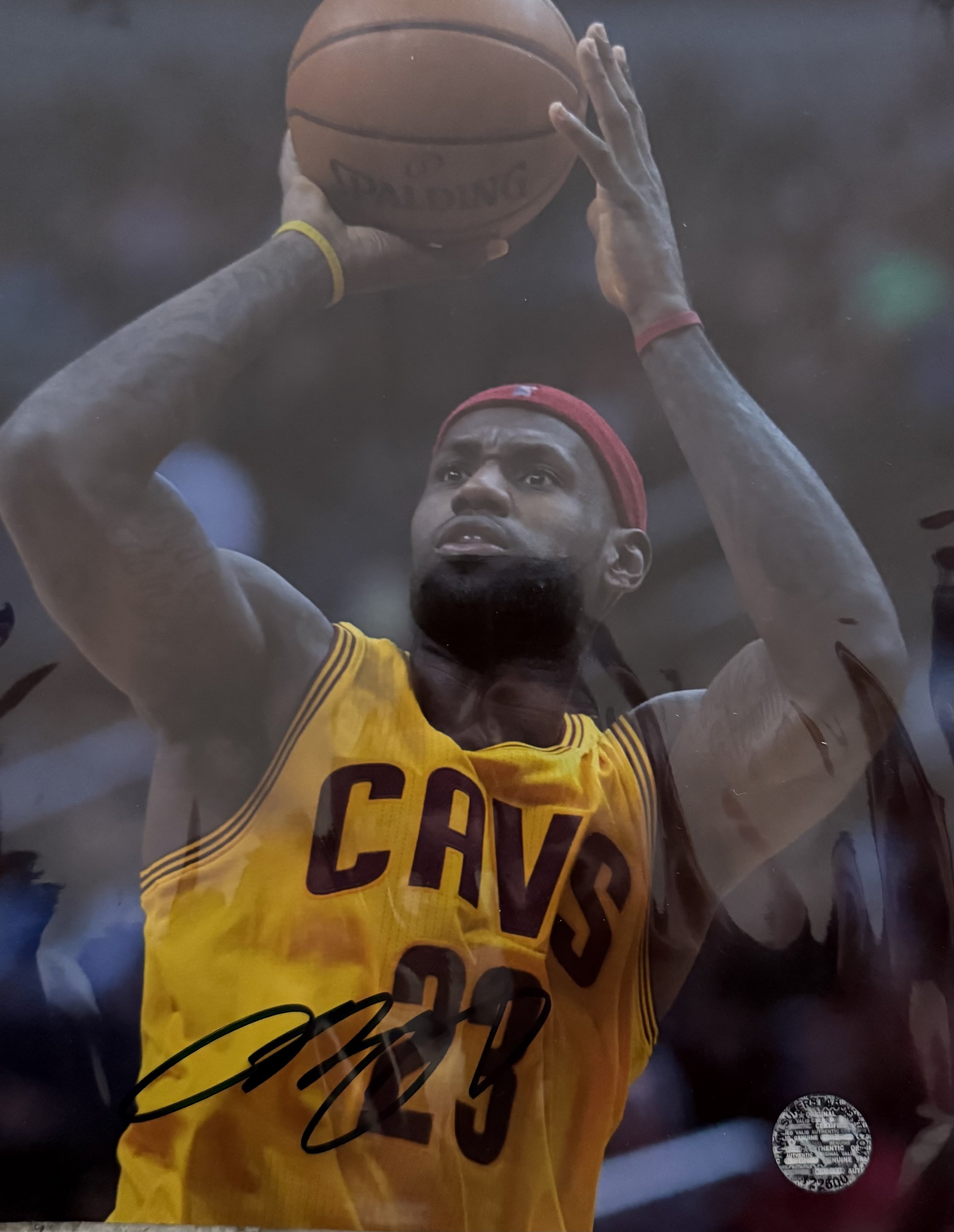 LEBRON JAMES AUTO