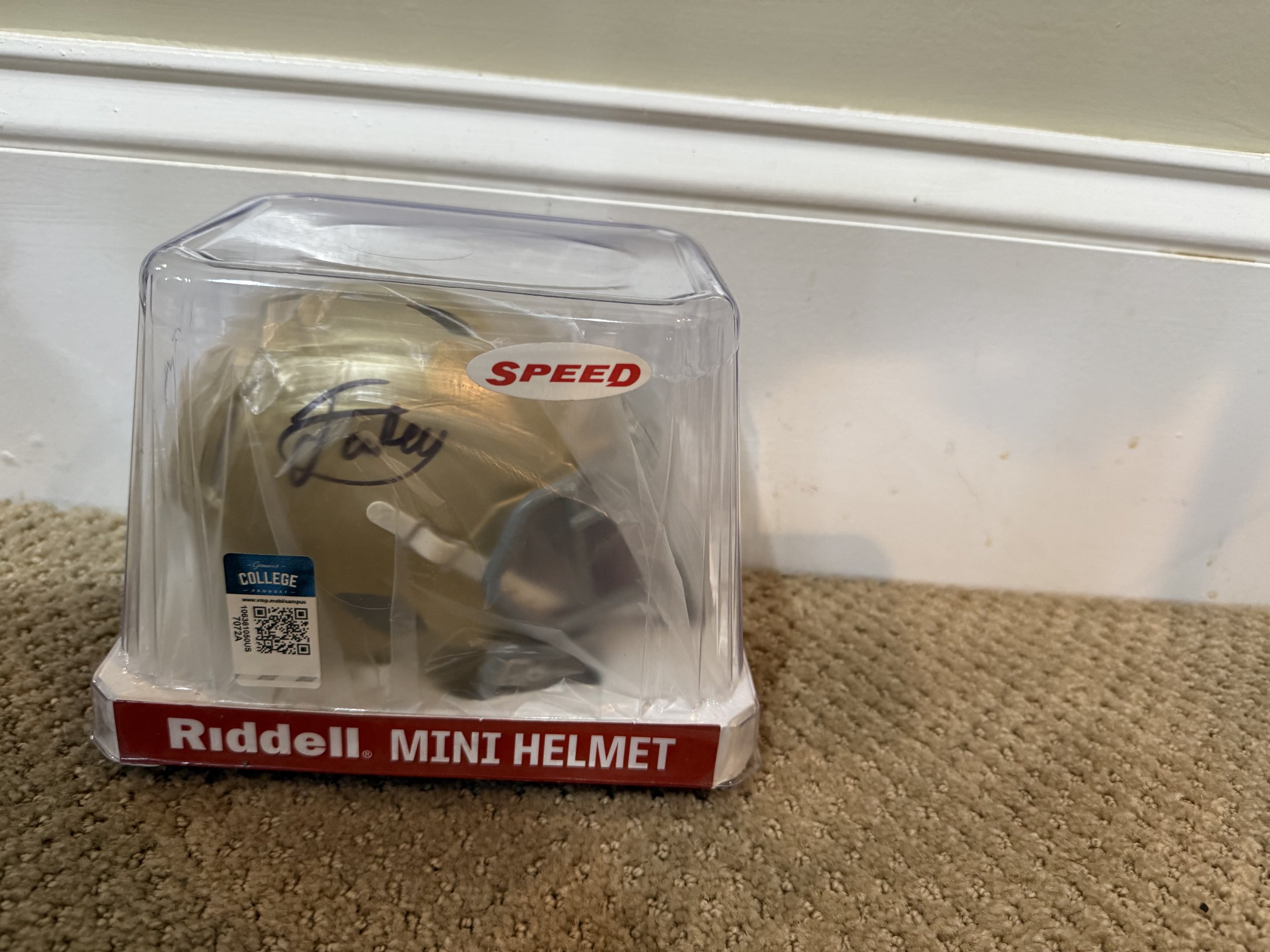NOTRE DAME MINI HELMIT AUTO