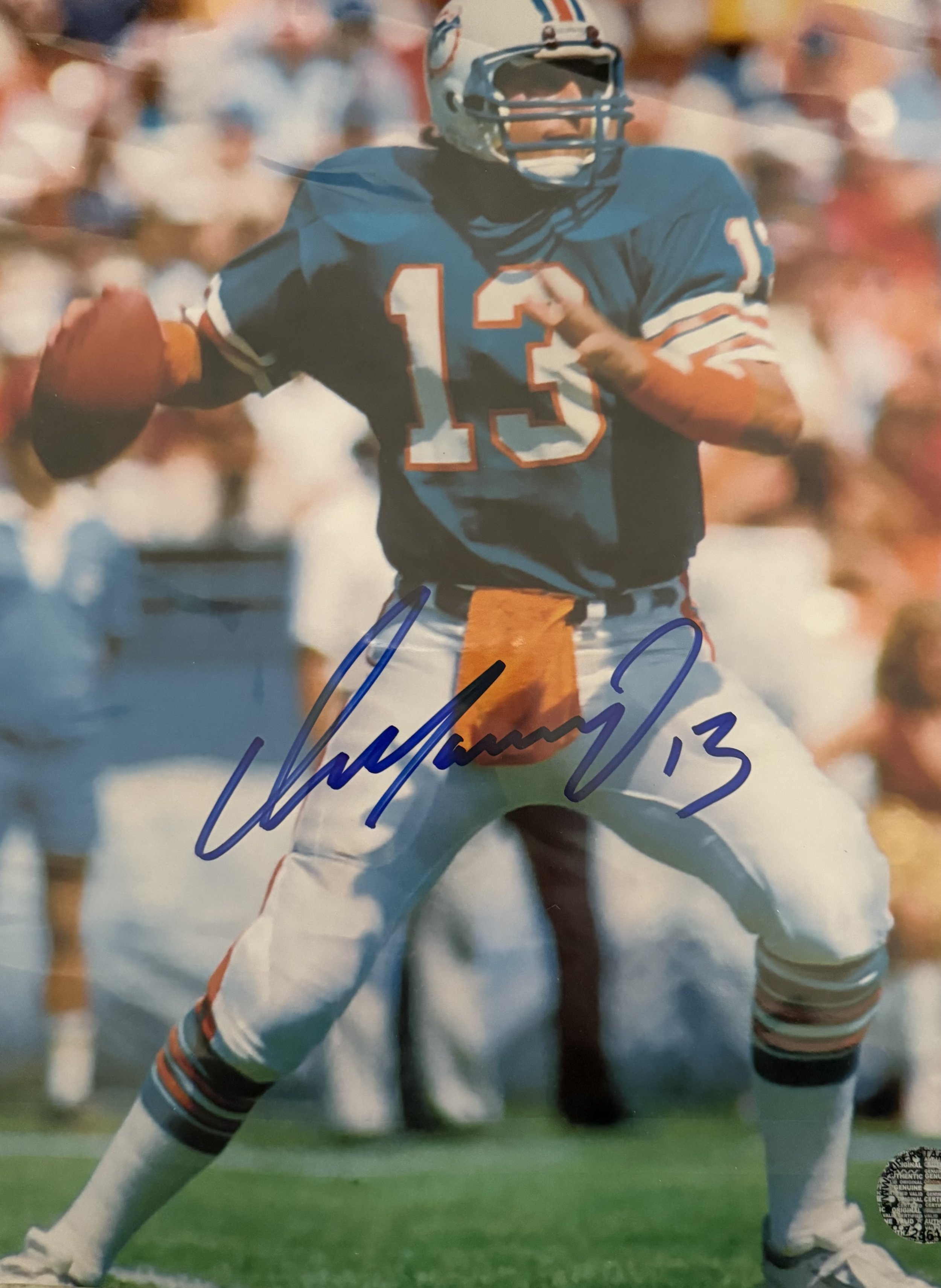 DAN MARINO PICTURE AUTO