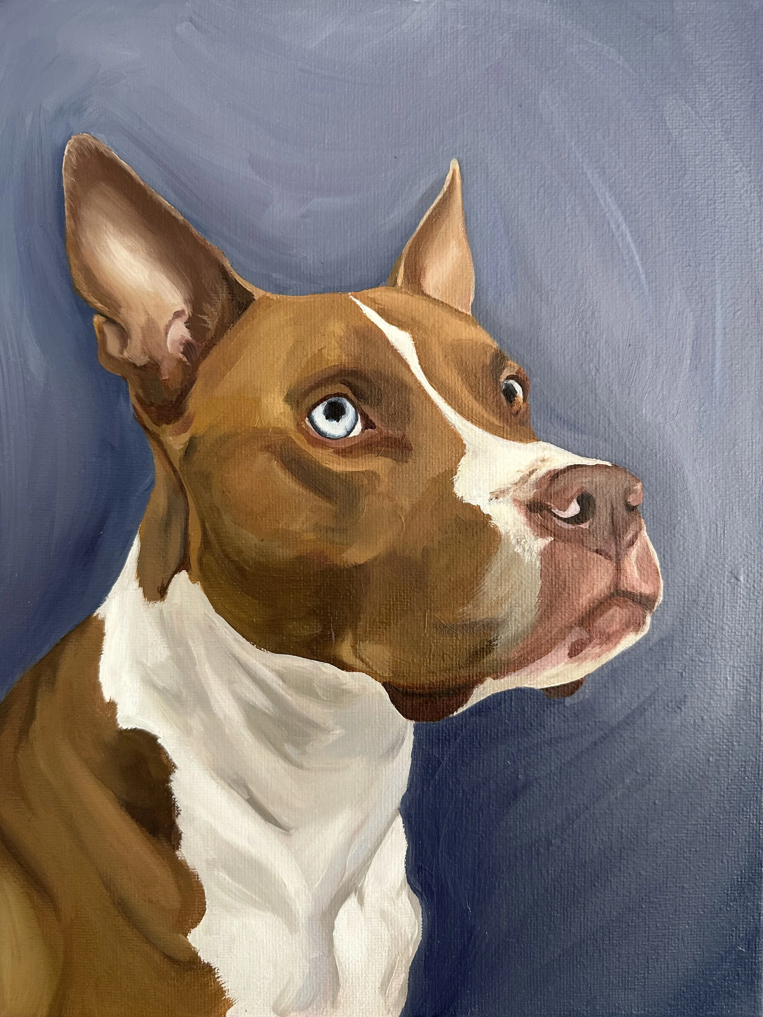 Oil painting of a boxer mix dog by Catherine Ngo