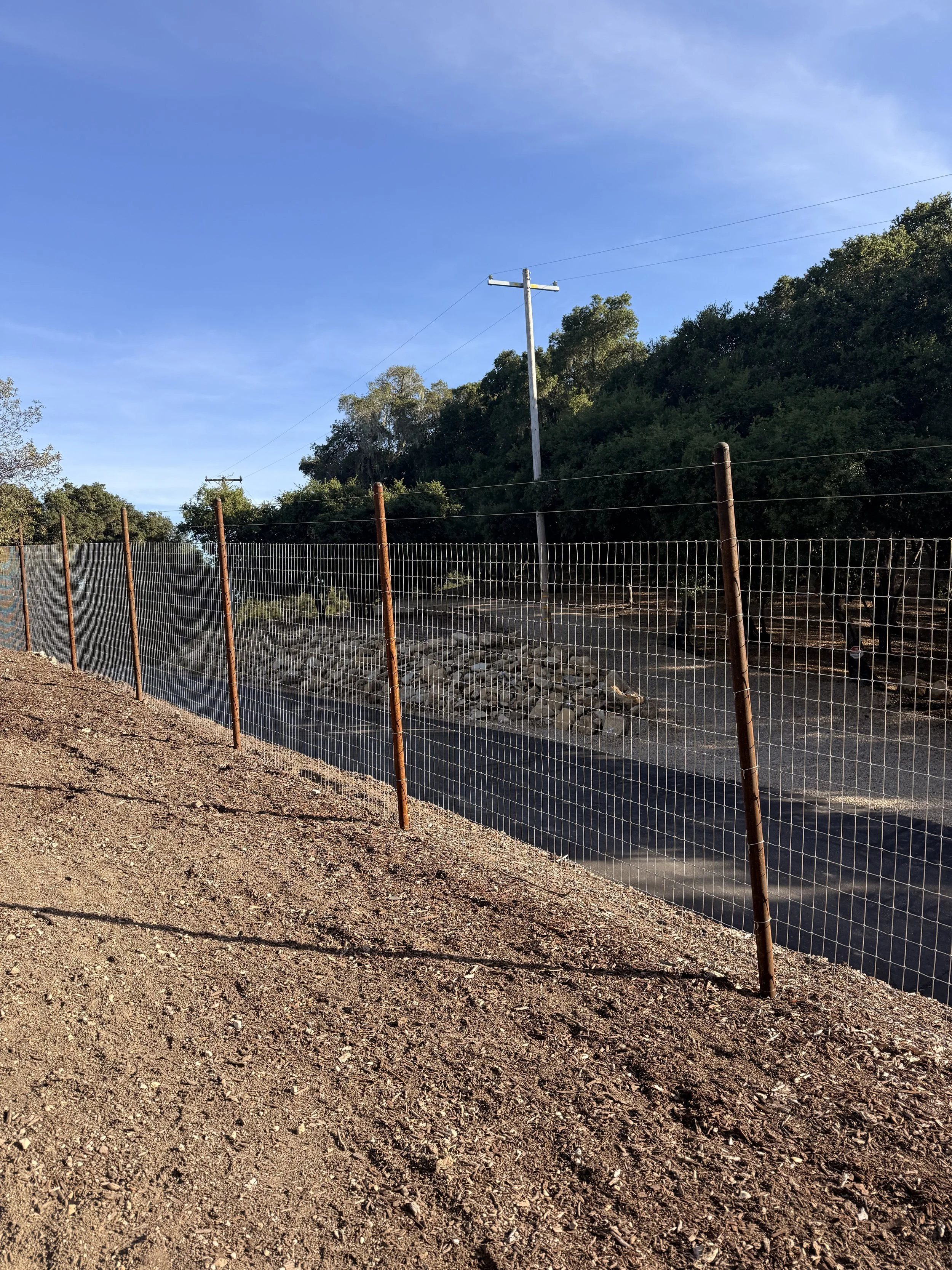 Deer fence templeton