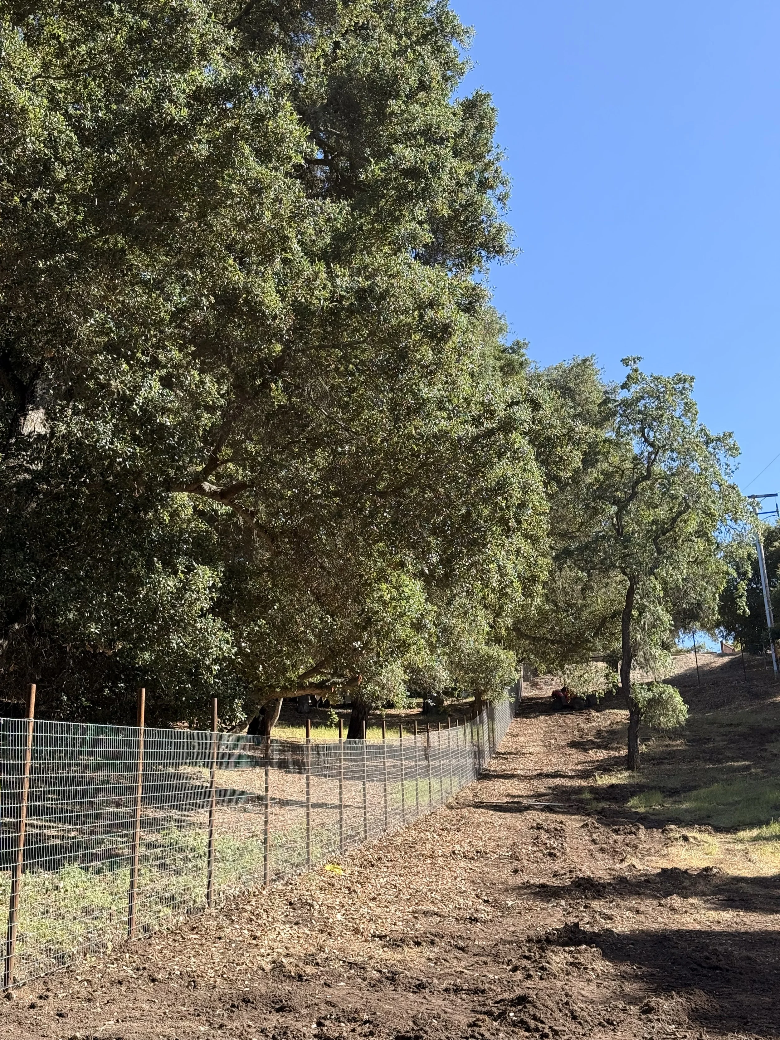 Non-Climb Pipe deer Fence