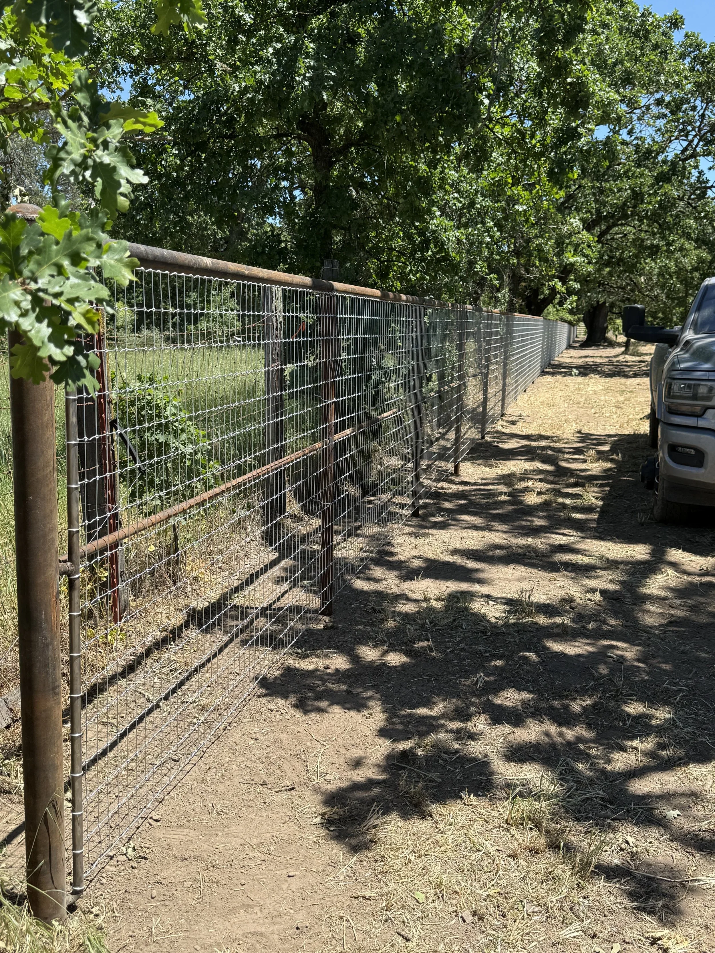 Horse safe fence Paso Robles
