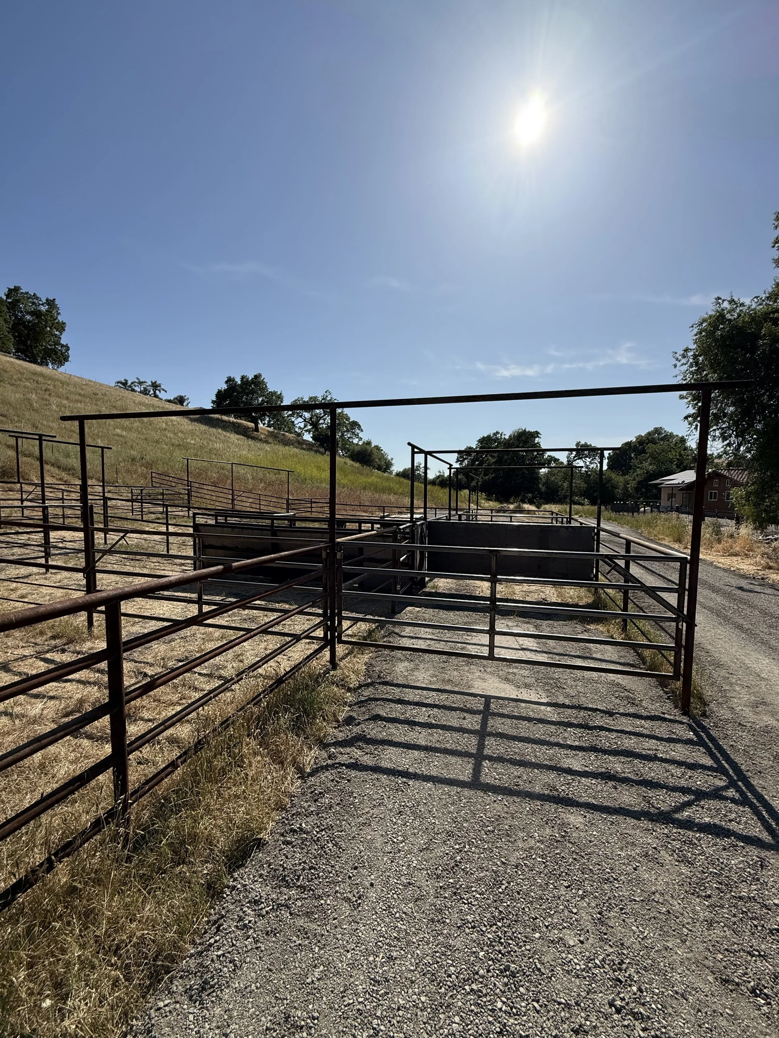 Bar W Fence Co Pipe Fence Corrals