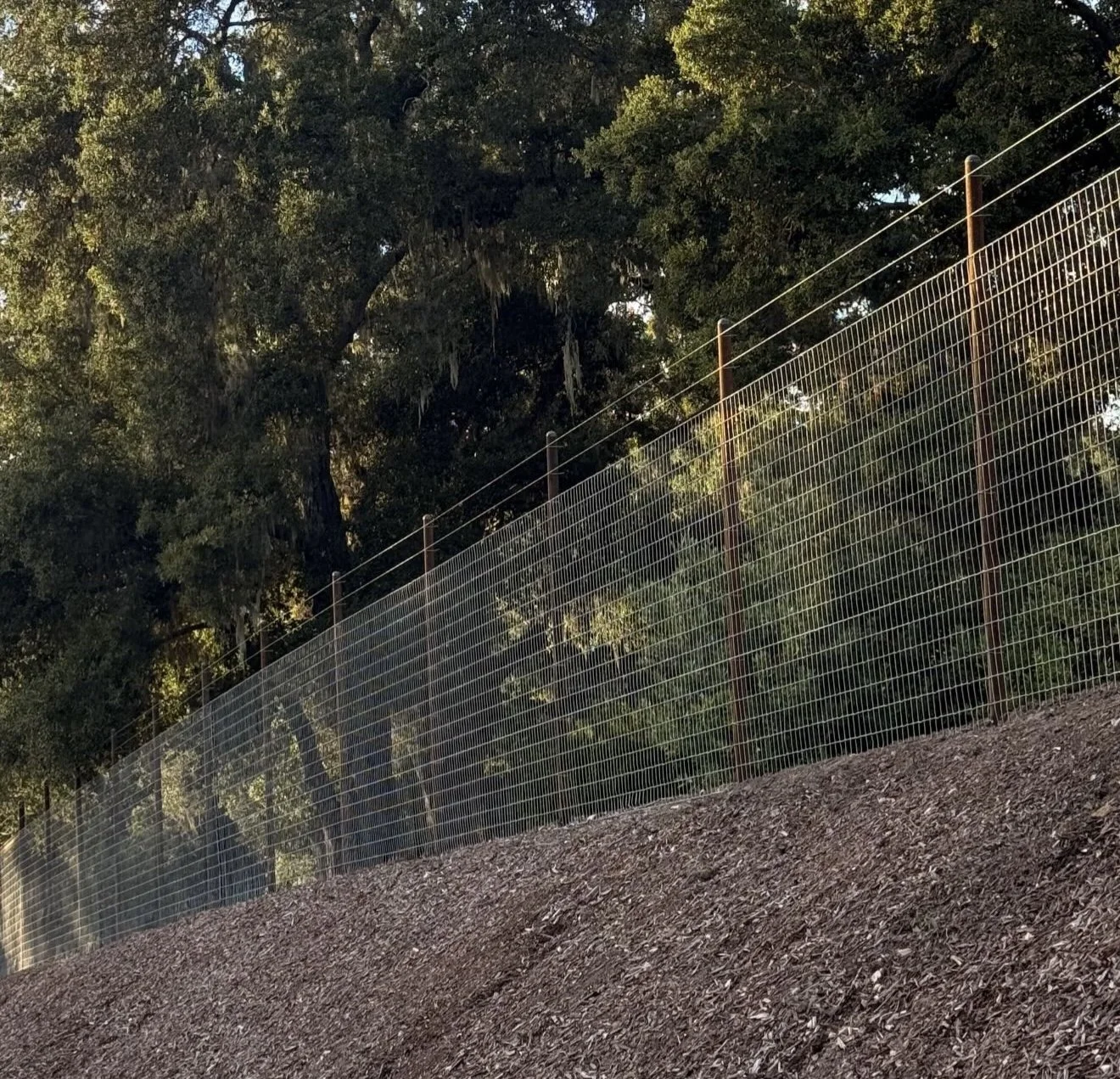 Deer fence, high fence, templeton