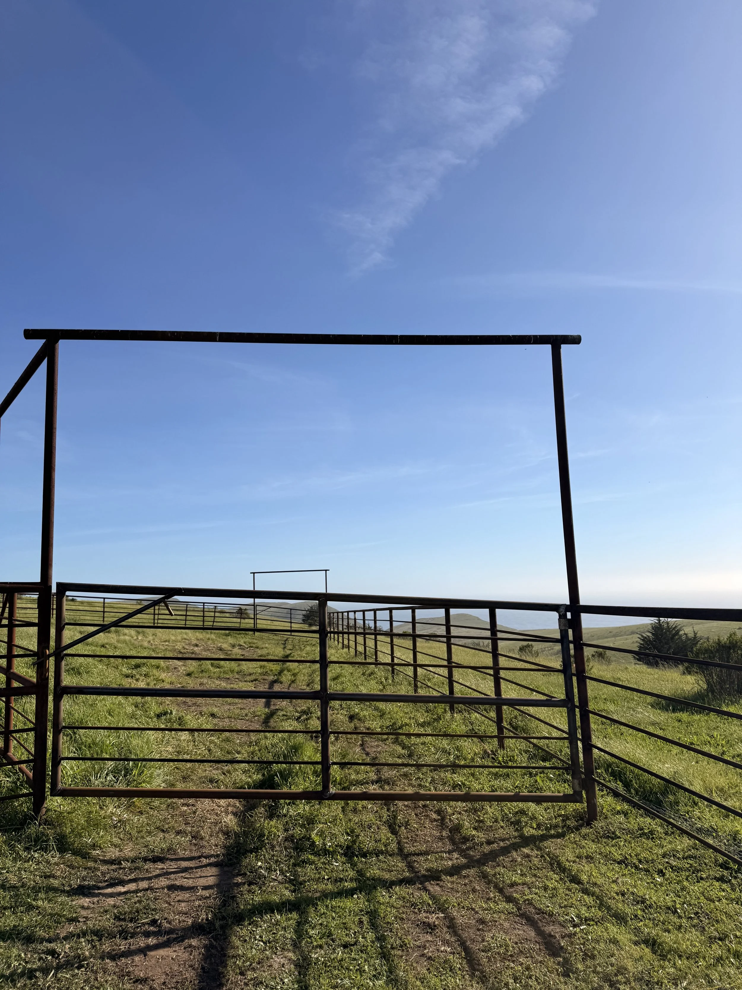 Pipe corrals 